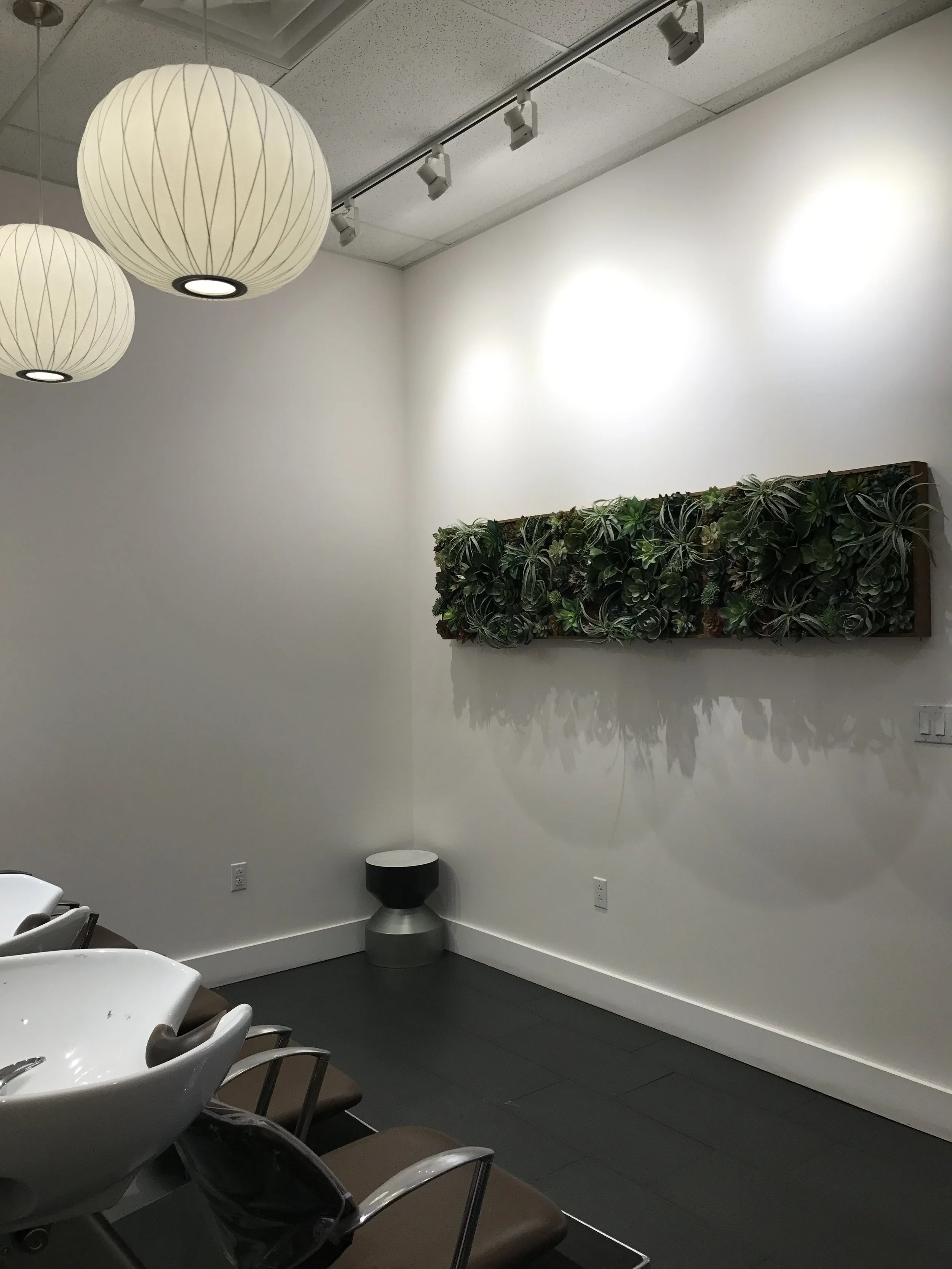  Interior of Milk + Honey South Austin salon with white walls, pendant lights, hair washing stations, and a vertical garden on the wall. 