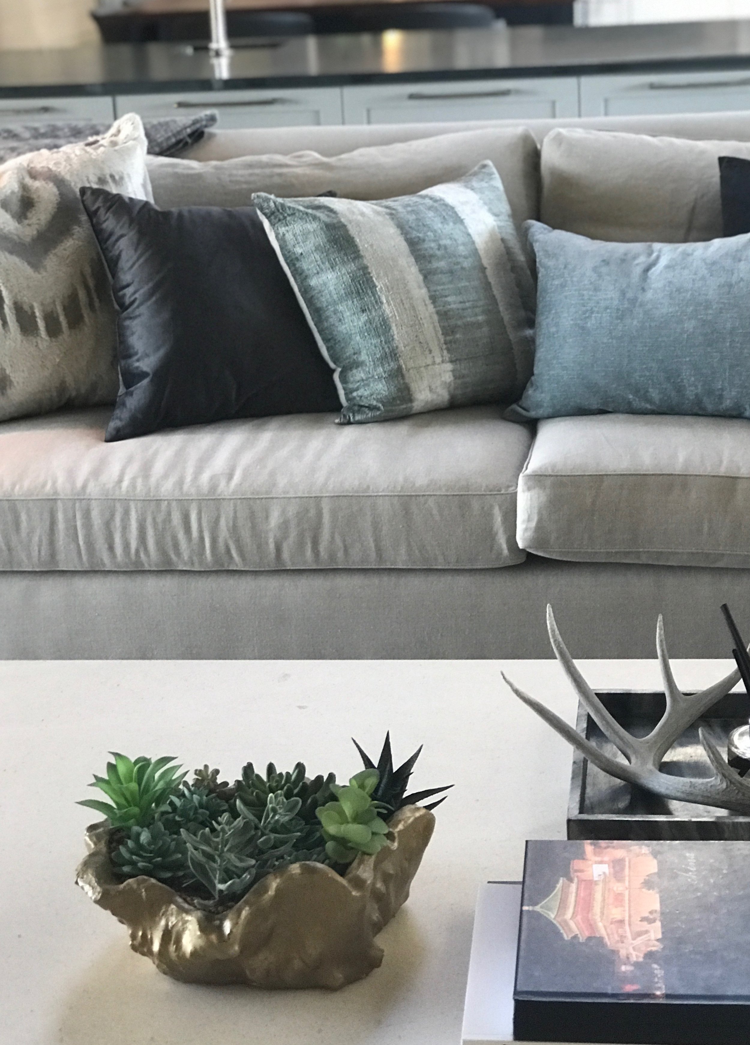 A light gray sofa with various cushions is behind a coffee table with a succulent planter, antler decor, and books.