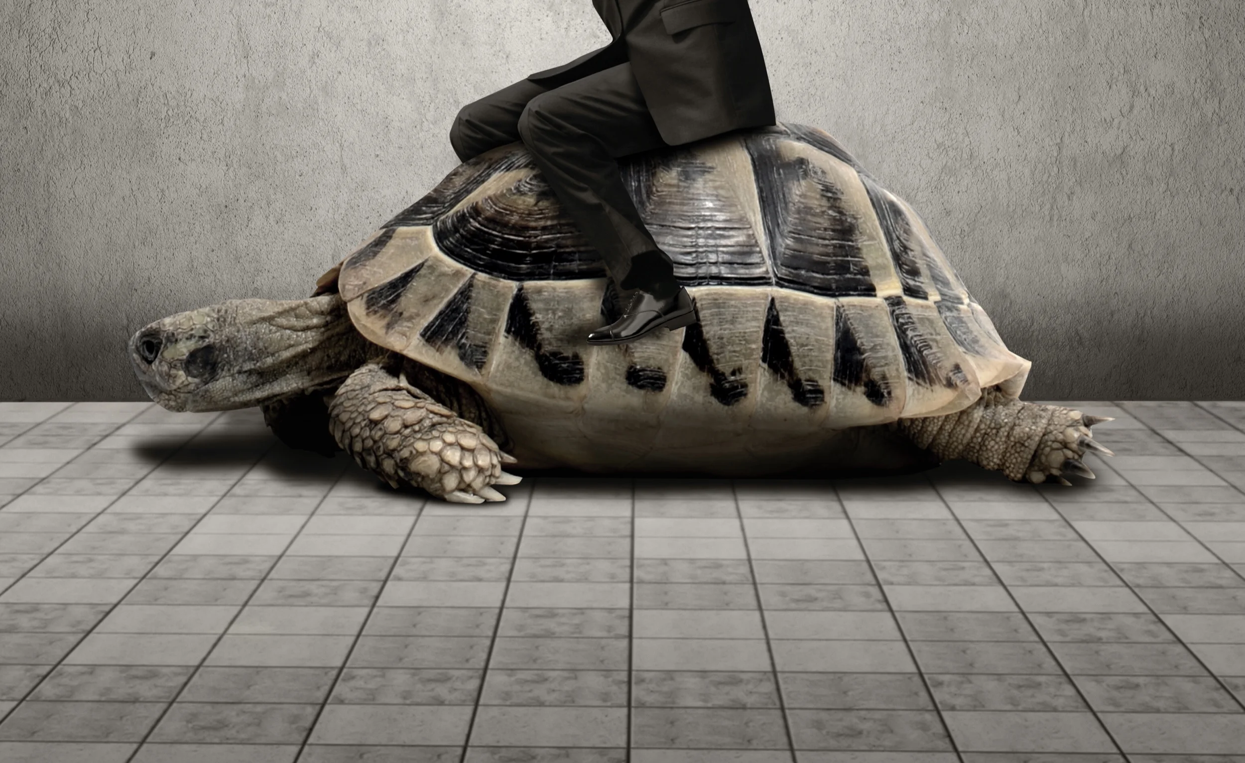Slow to Understand Your Beliefs