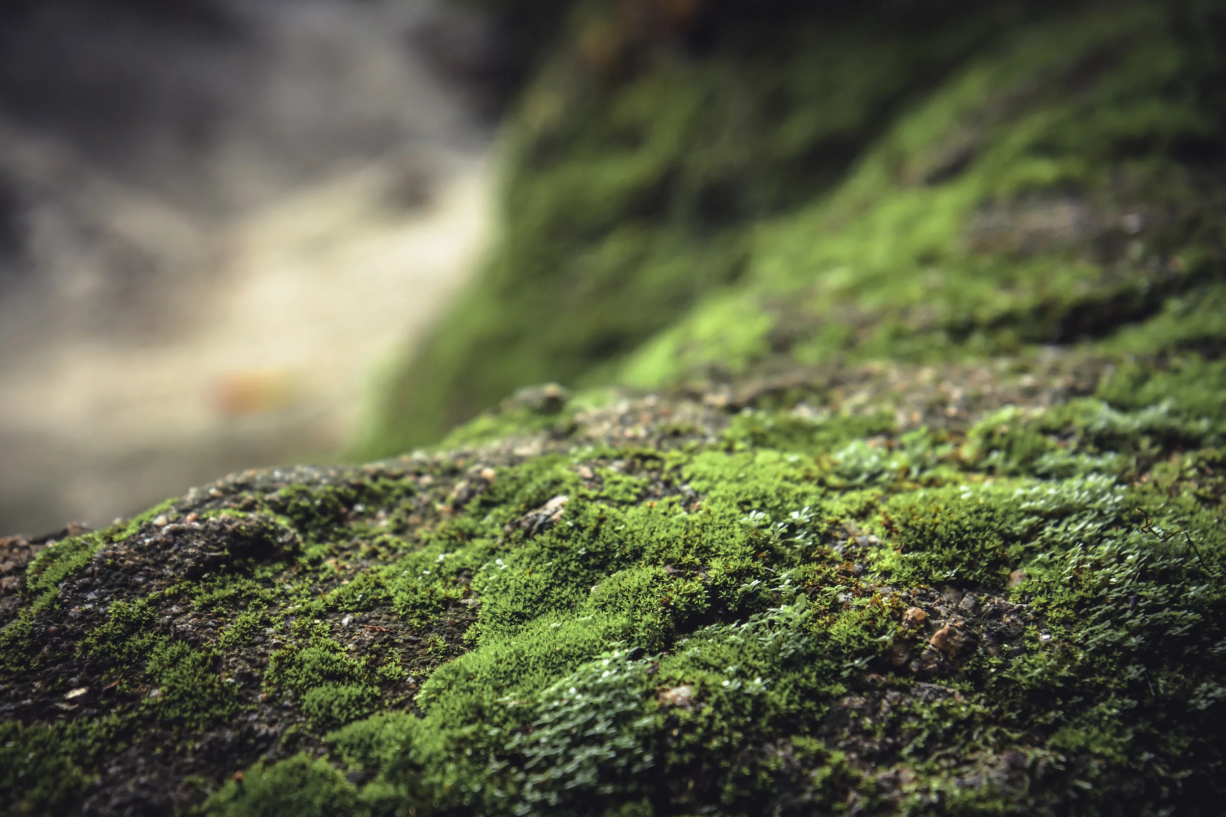 Extending Your Field of Discovery