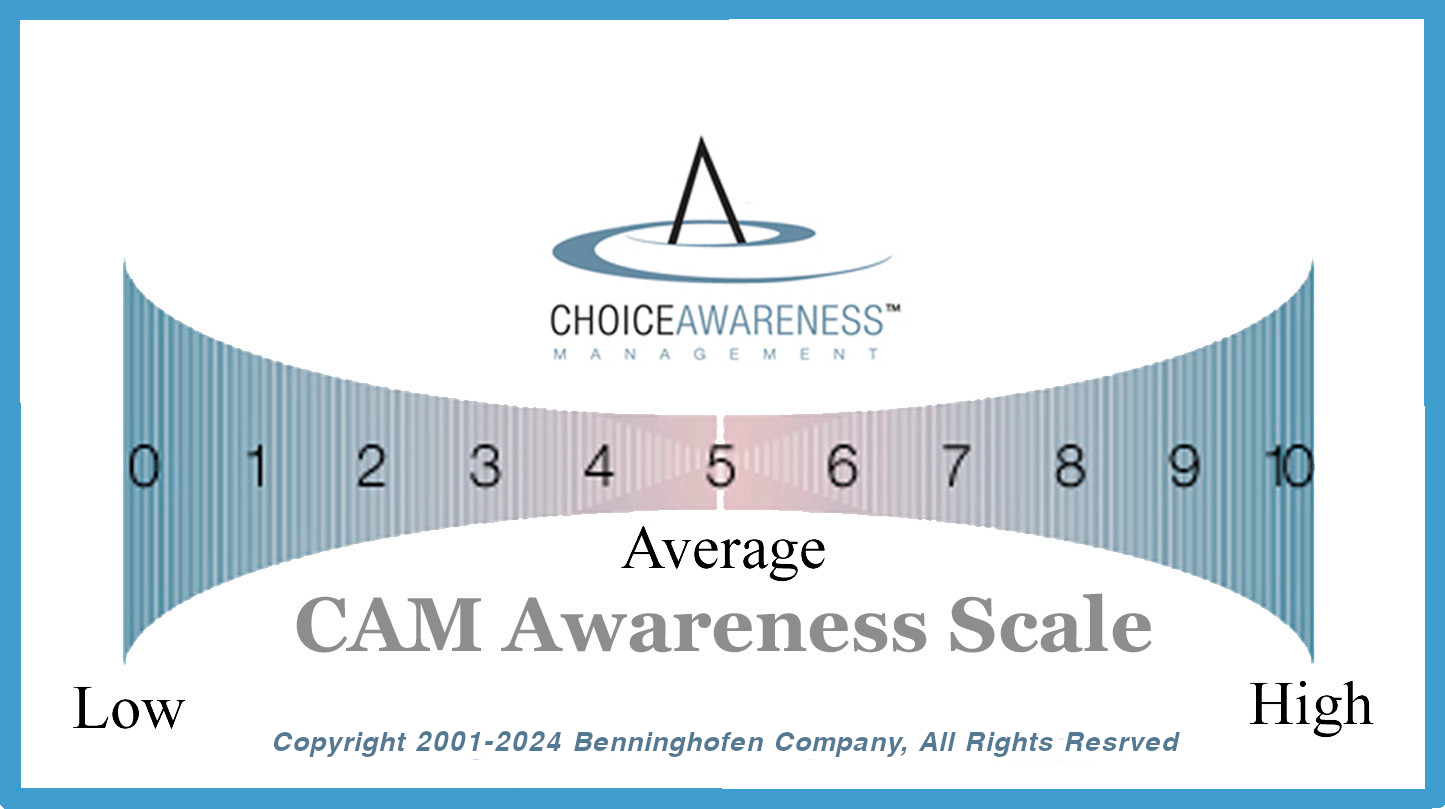 CAM_Awareness_ScaleBrd_Final_250Pixels.png