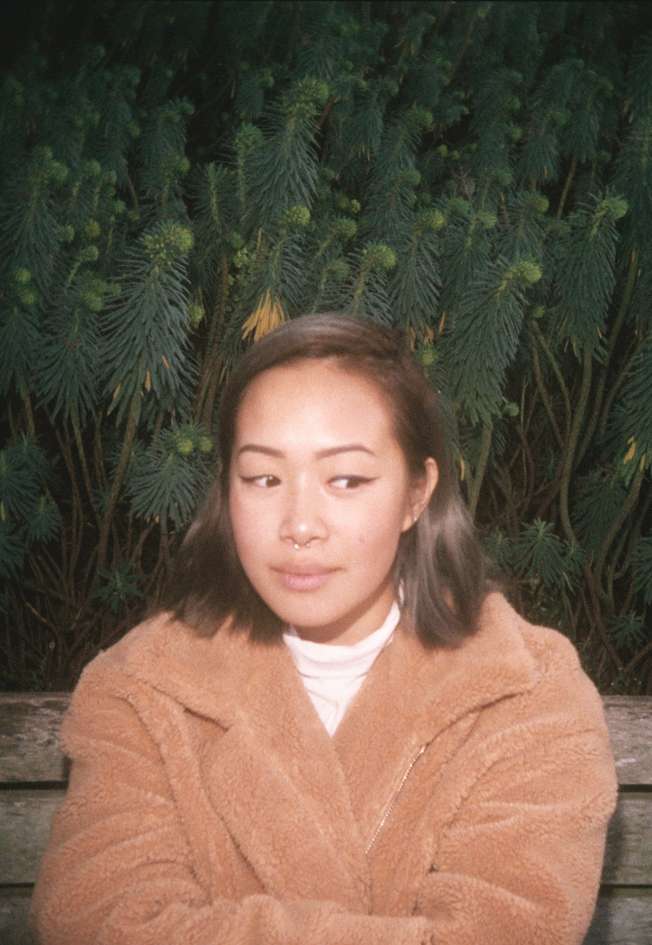 plant.gif