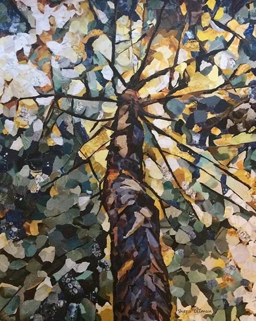 INTO THE CANOPY
