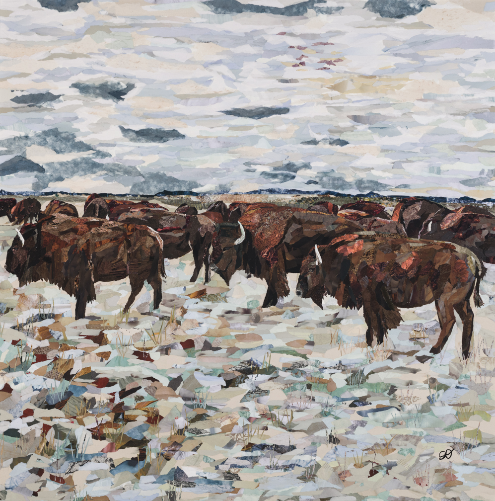 Open Country (SOLD)