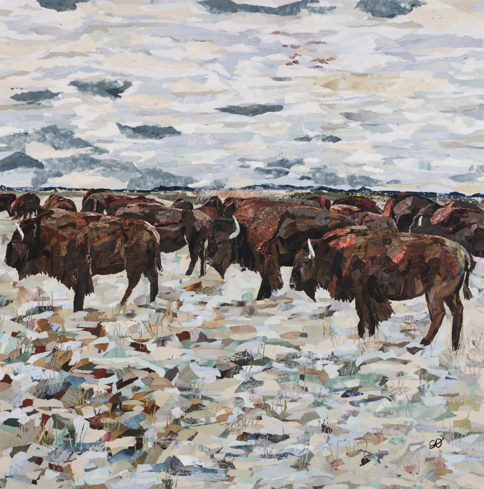 Open Country