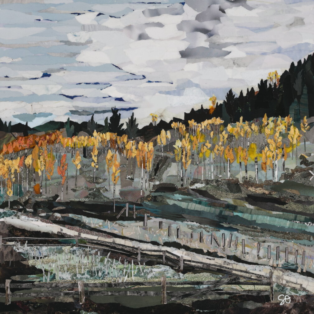 Young Aspen, Height of the Season (SOLD)