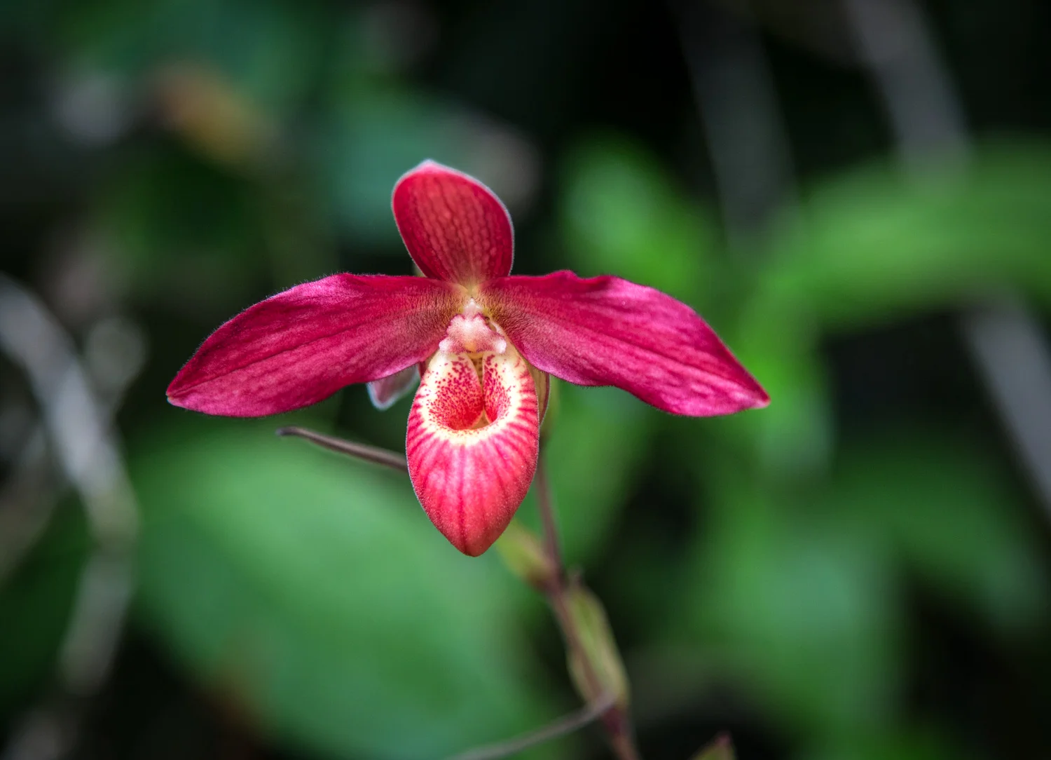 HuntGardens_140523_346.jpg