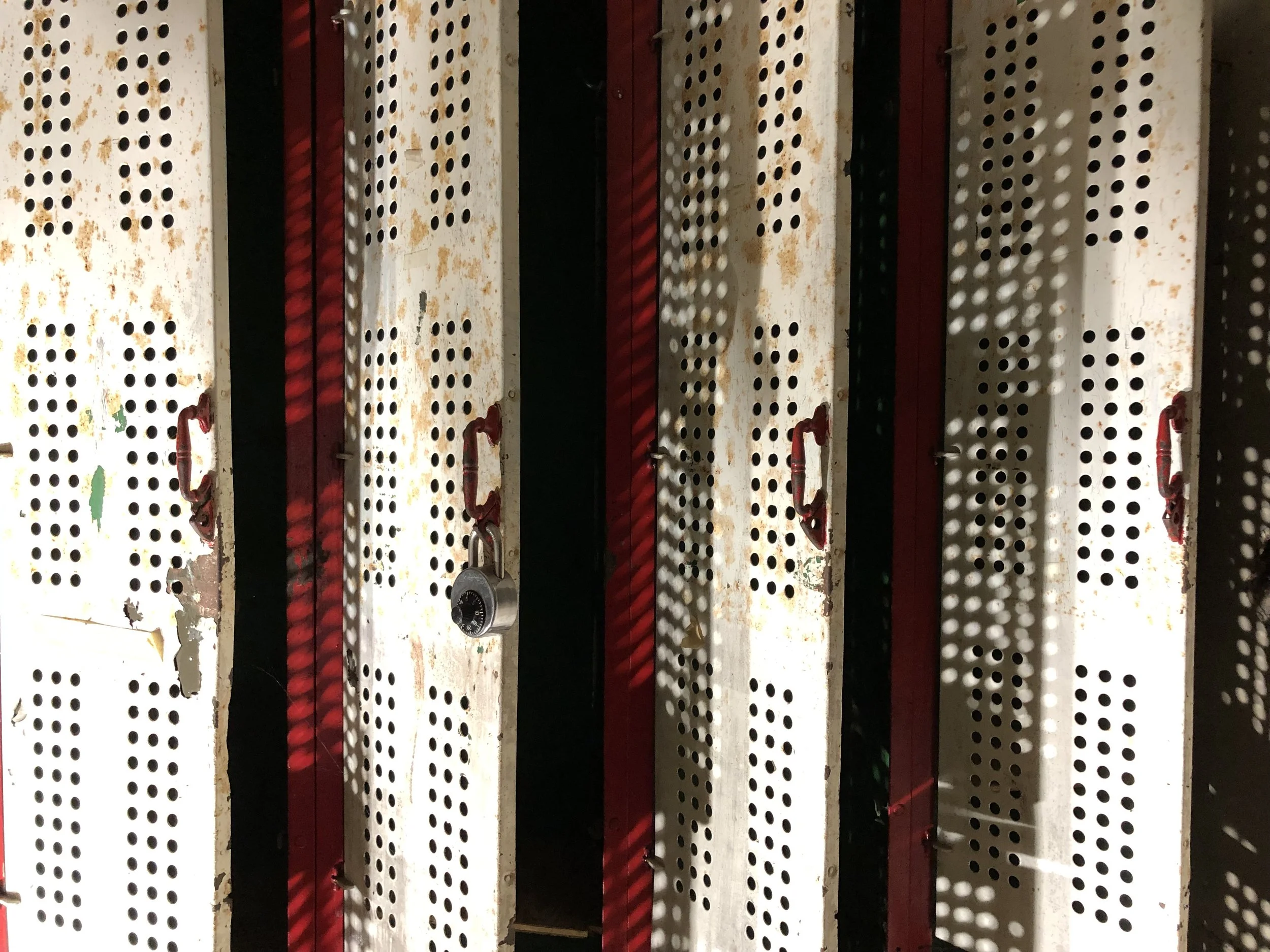 IMG_4750.jpeg