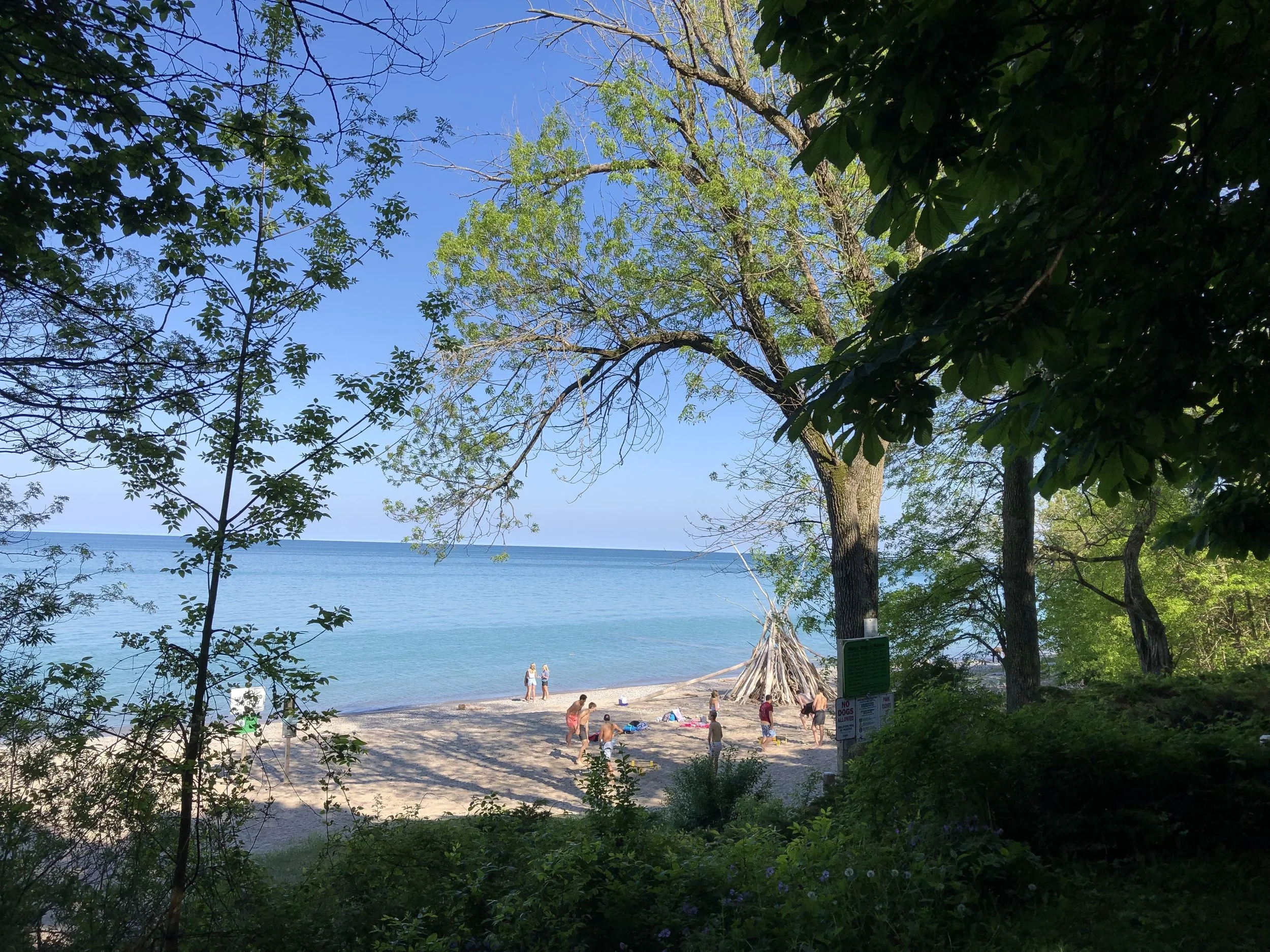 Beach with activity.jpg