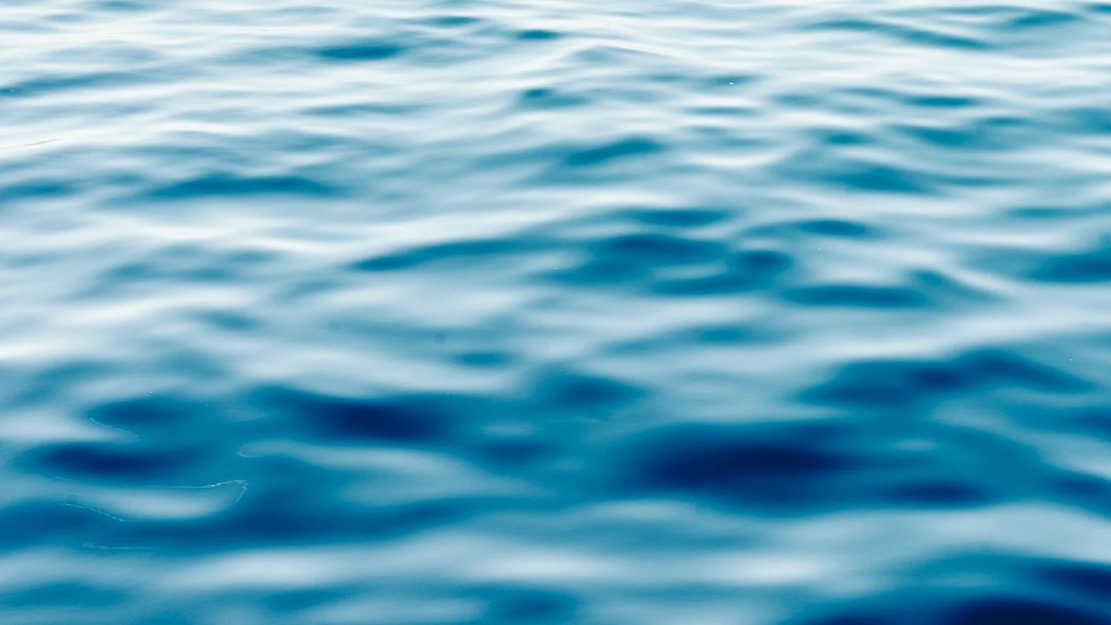 Boat_Web_027.jpg