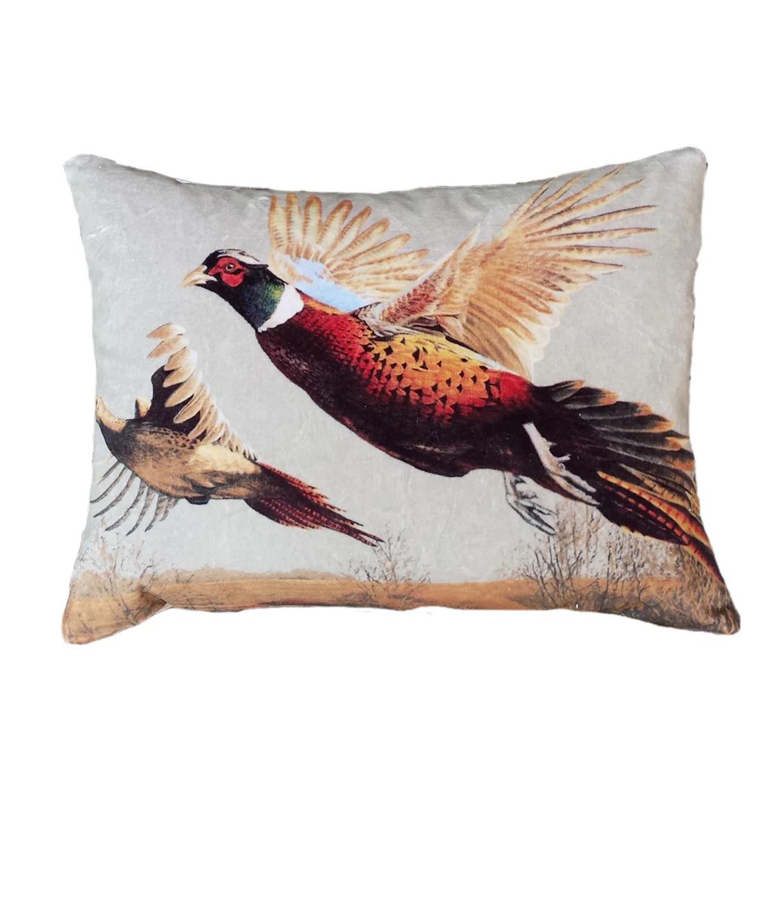 pheasant2.jpg