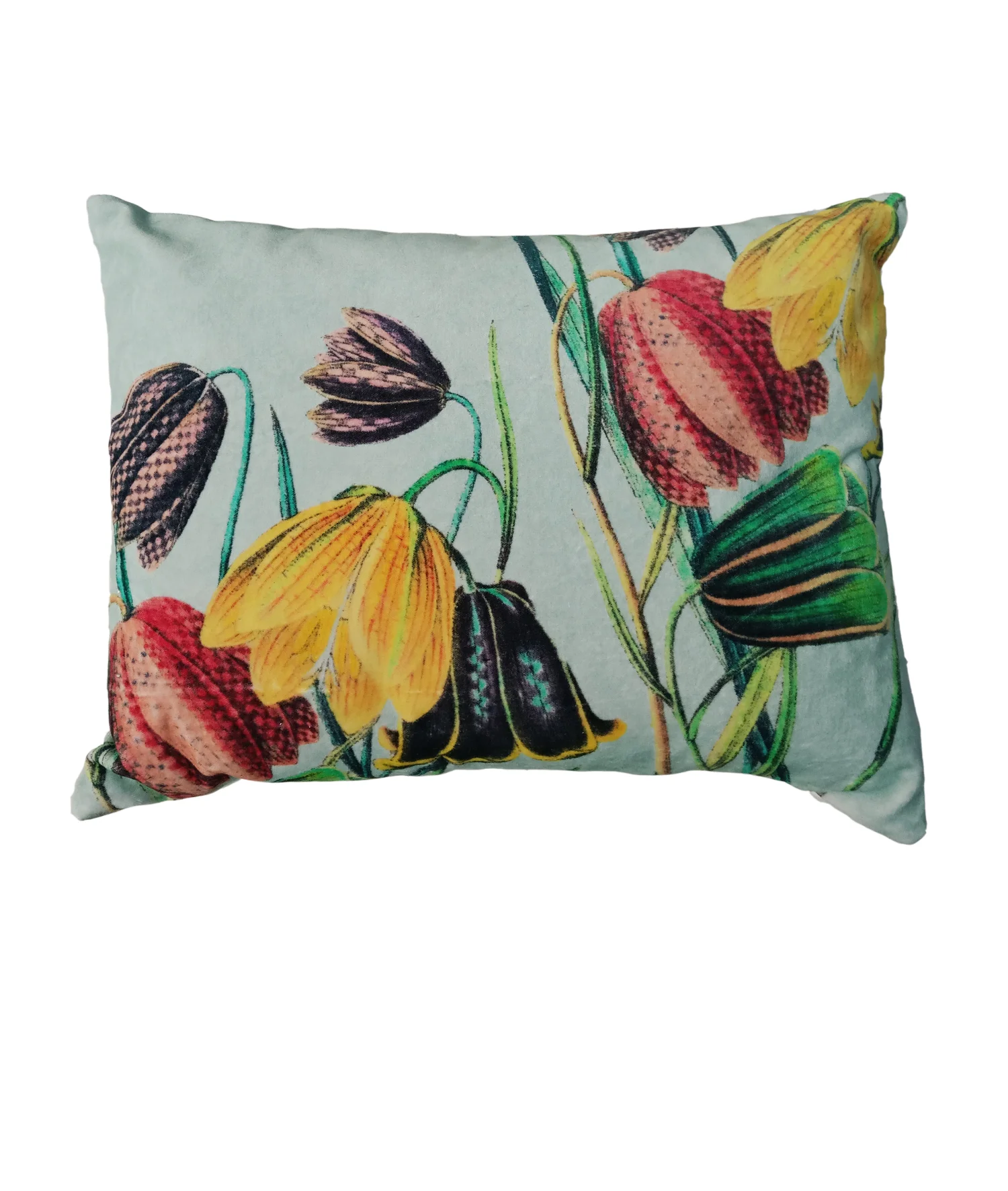 fritillaria.jpg