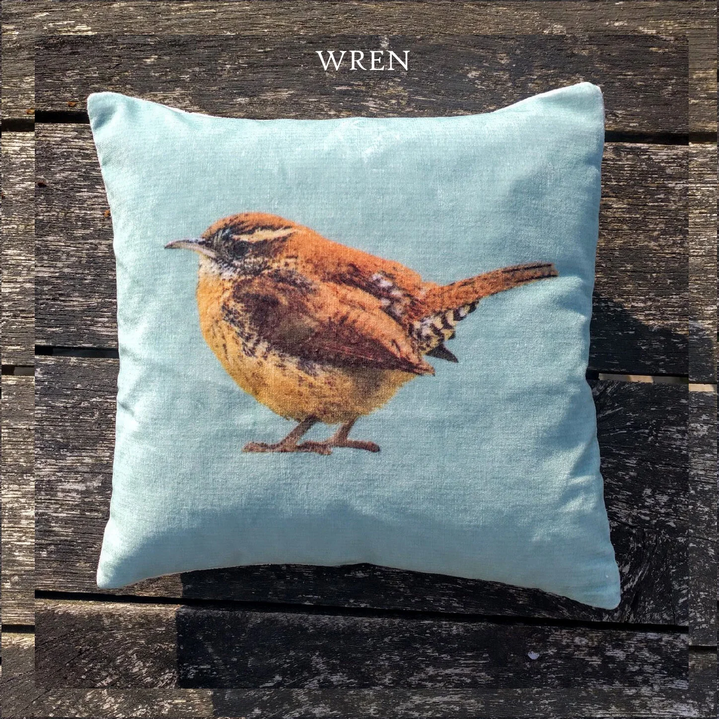wren2.jpg