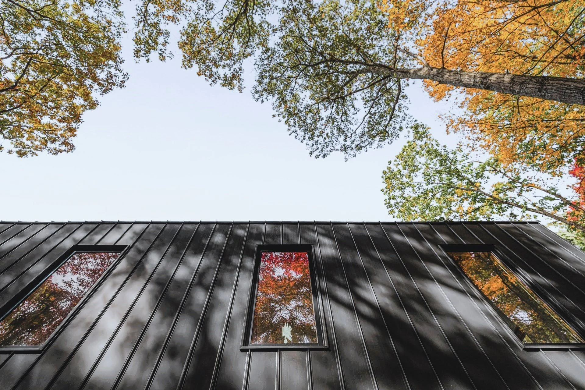 Case Study Catskills Cabin The Backcountry Hut Company