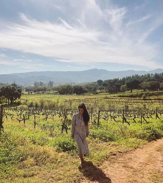 • Portuguese wine country π· •