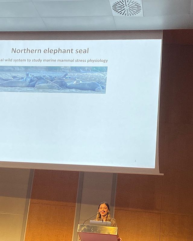 We had a great time presenting our work at the #wmmc19 conference in #barcelona 🐋