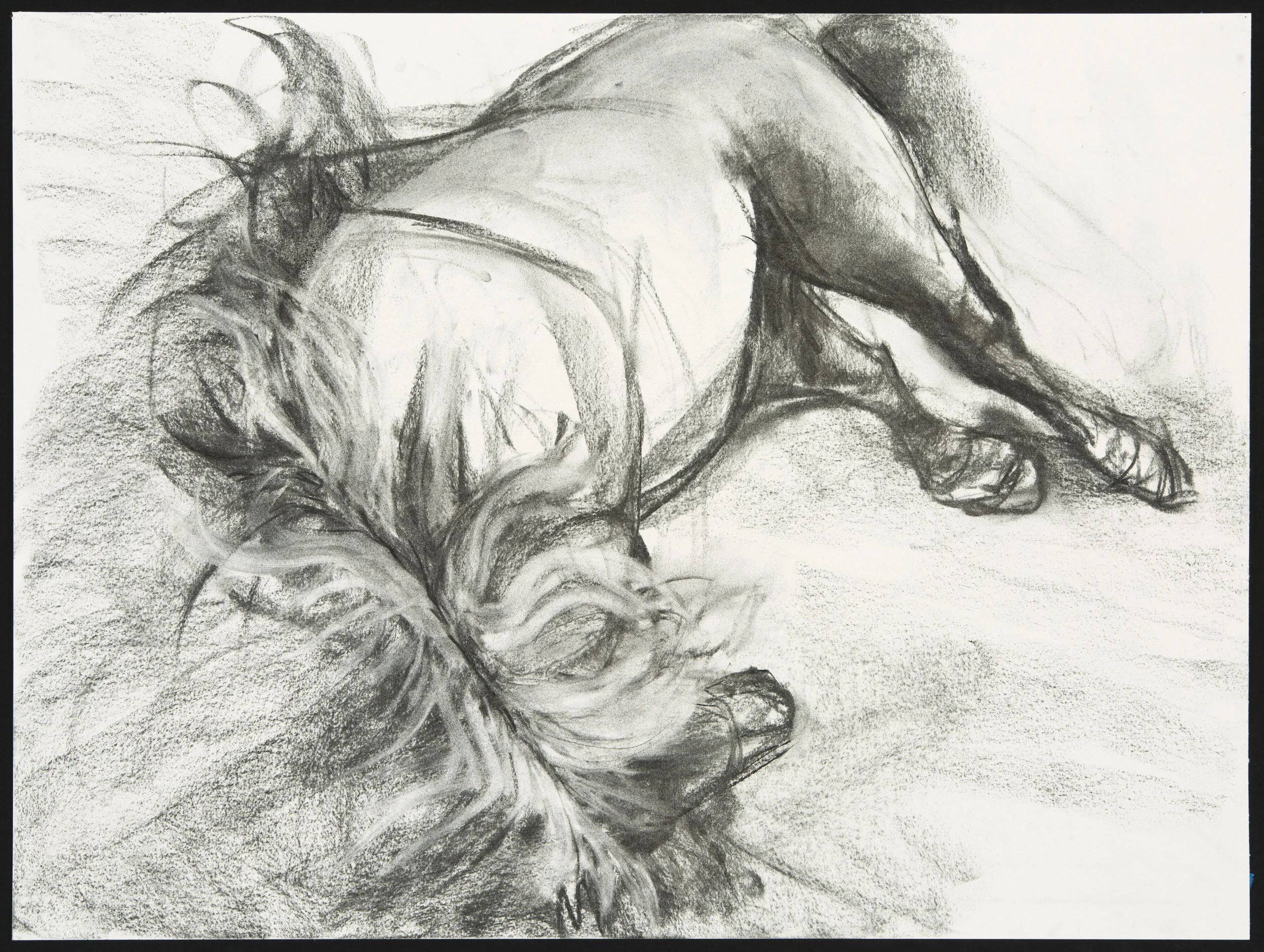 Gaefa Charcoal on Paper (18” x 24”)