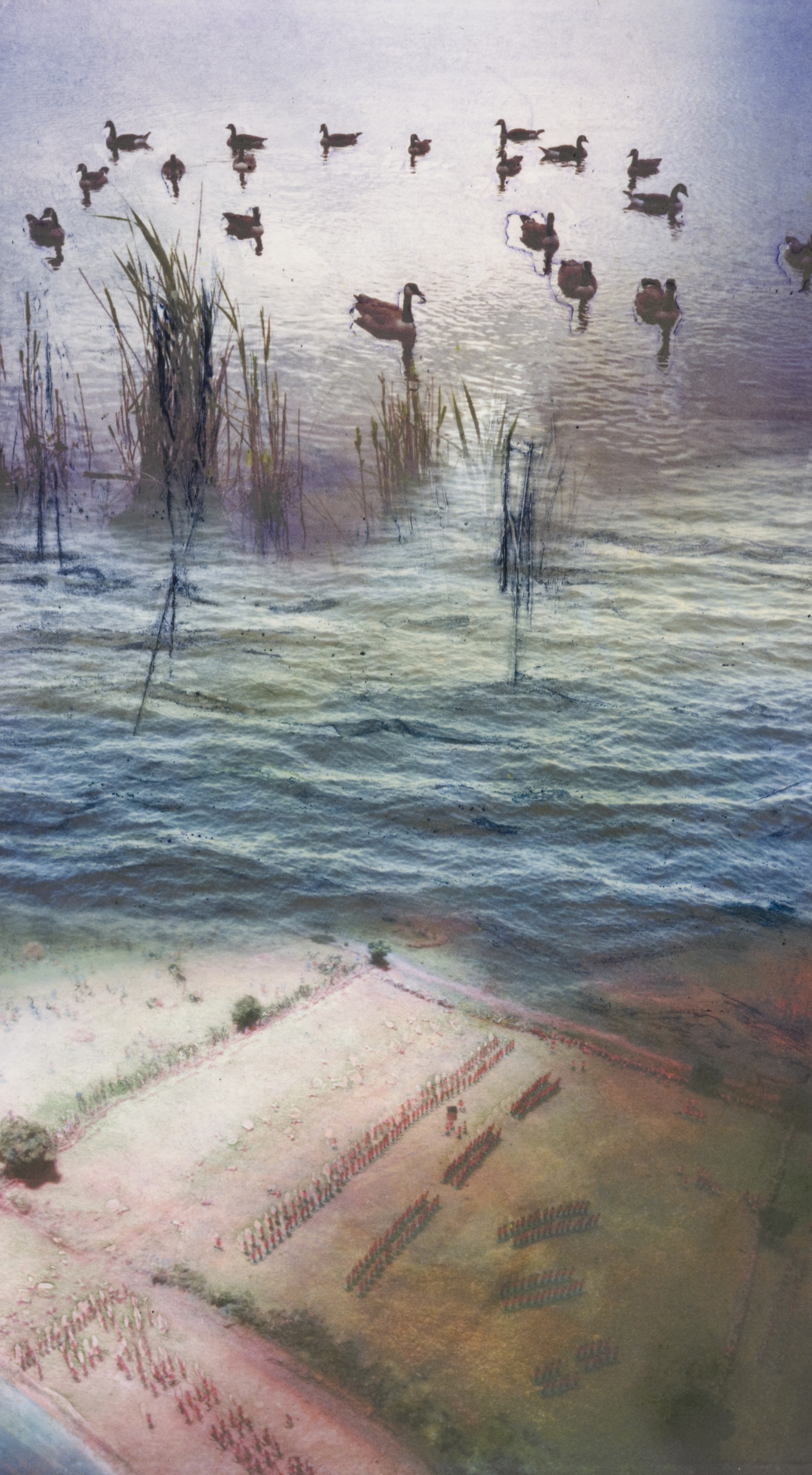 Ducks on a Pond Monoprint/Collograph (16x10”)