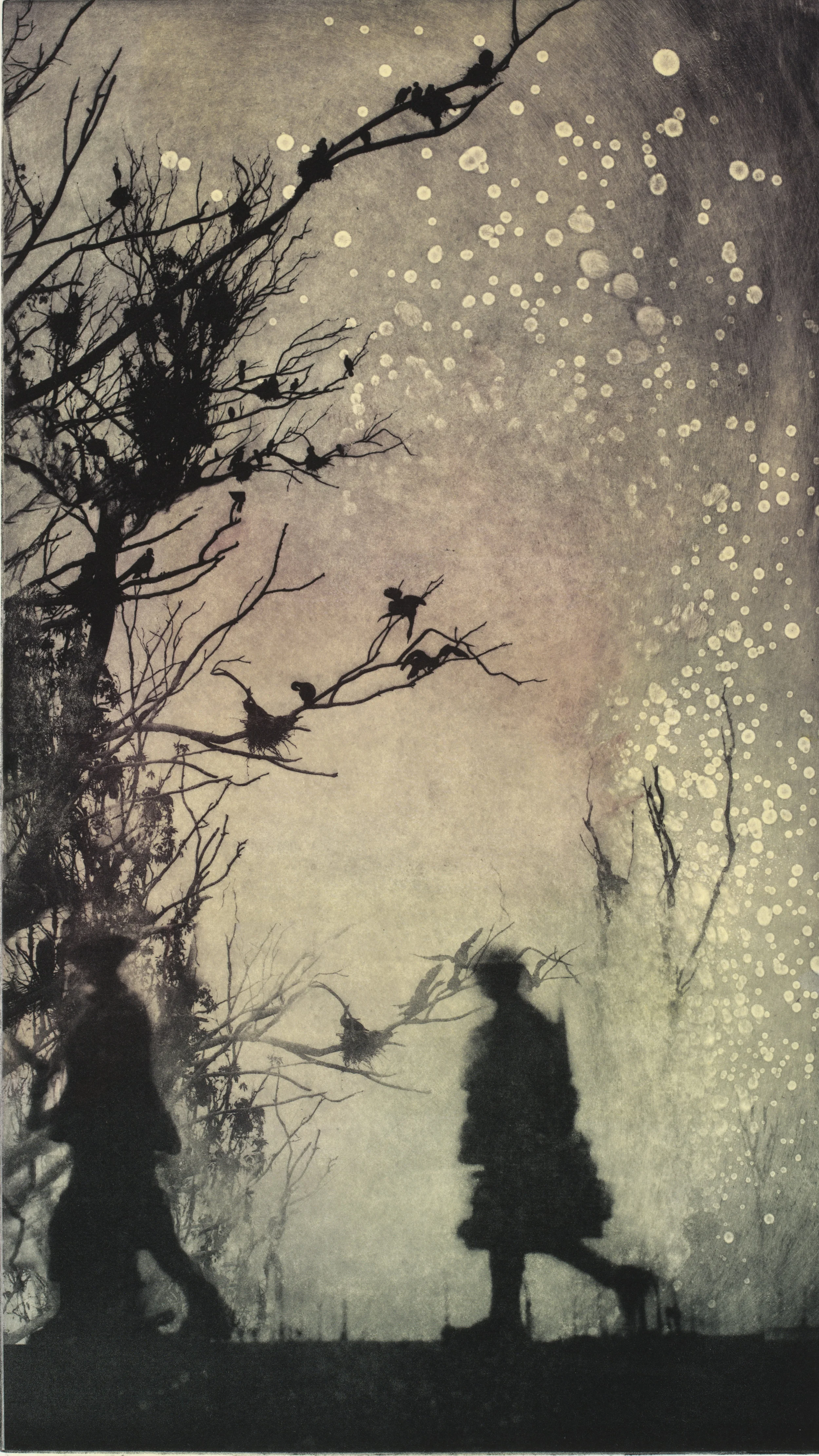 Returning We Hear the Larks 4 Solarplate Etching (16x10”)