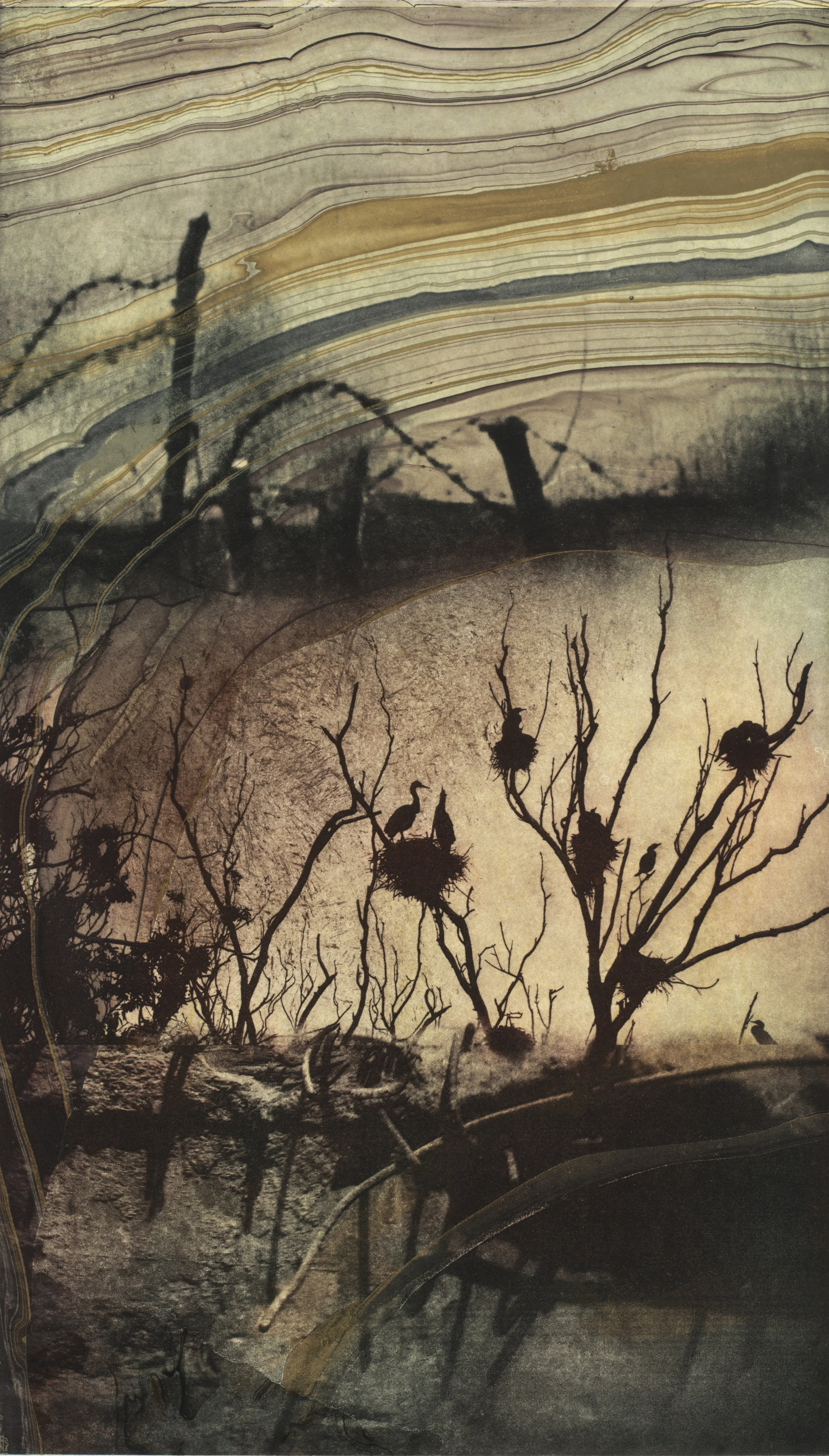 Song of the Mud Solarplate Etching w/ Chine Colle (16x10”)