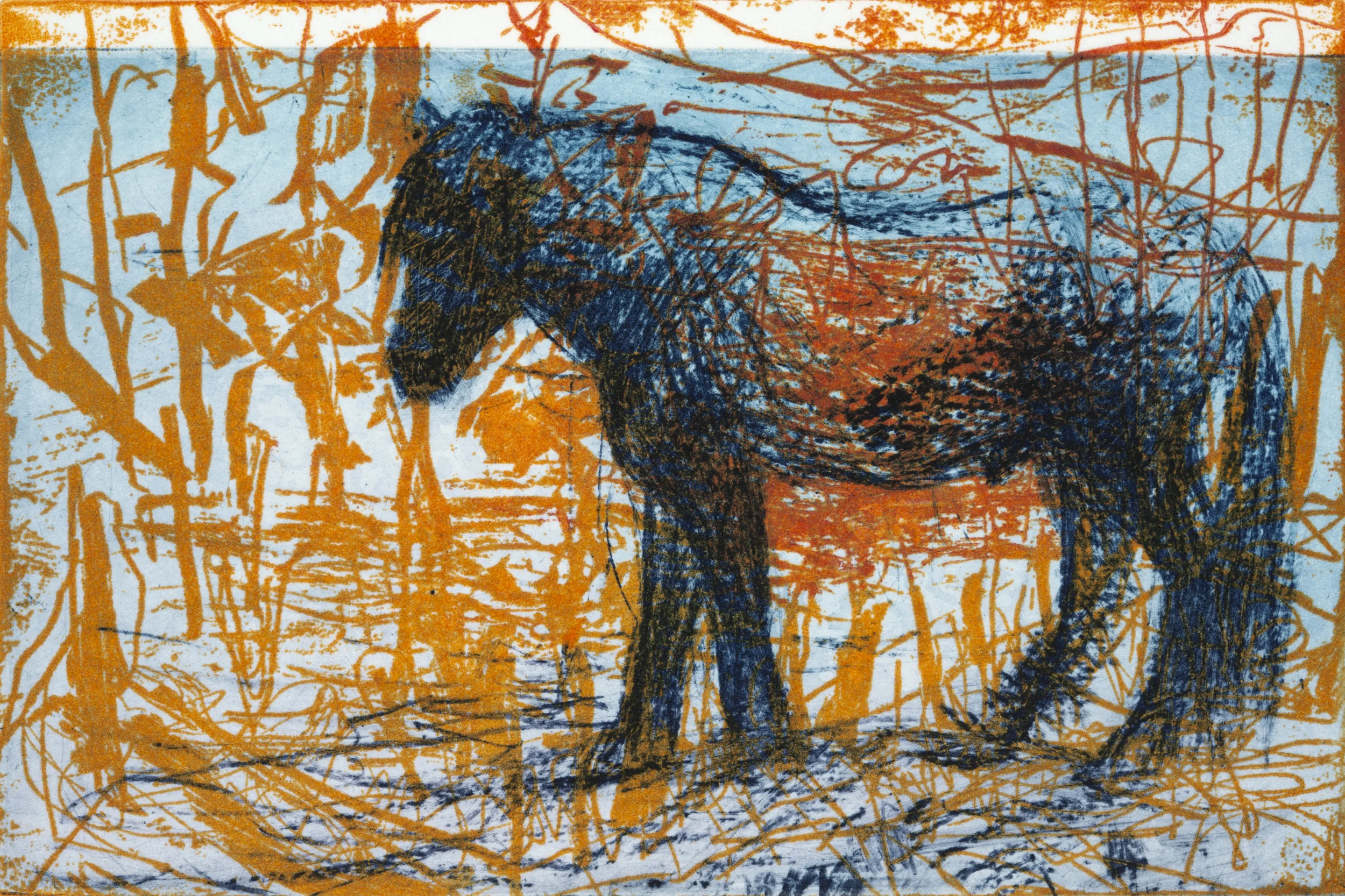 10 Steps: Stallion Solarplate Etching (4x6”)
