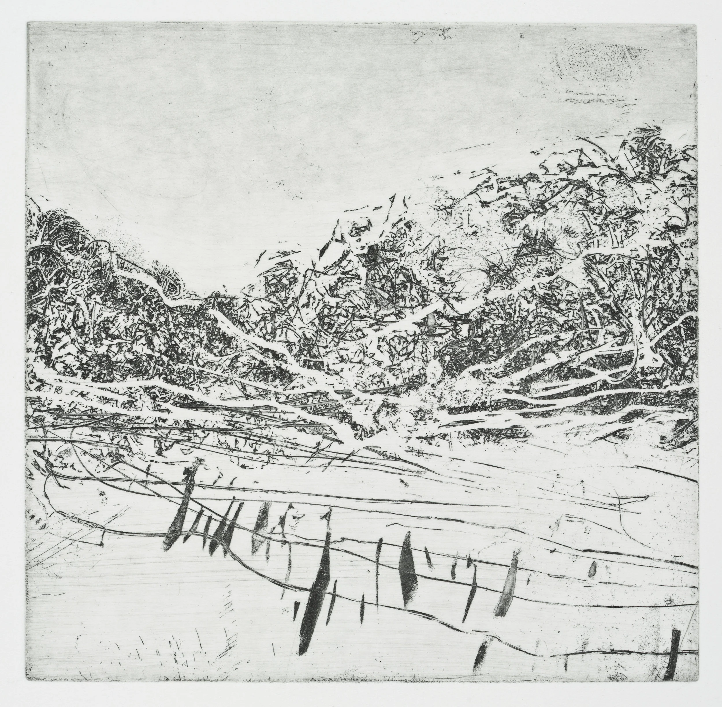 Fence #1 Soft Ground Etching (6x6”)