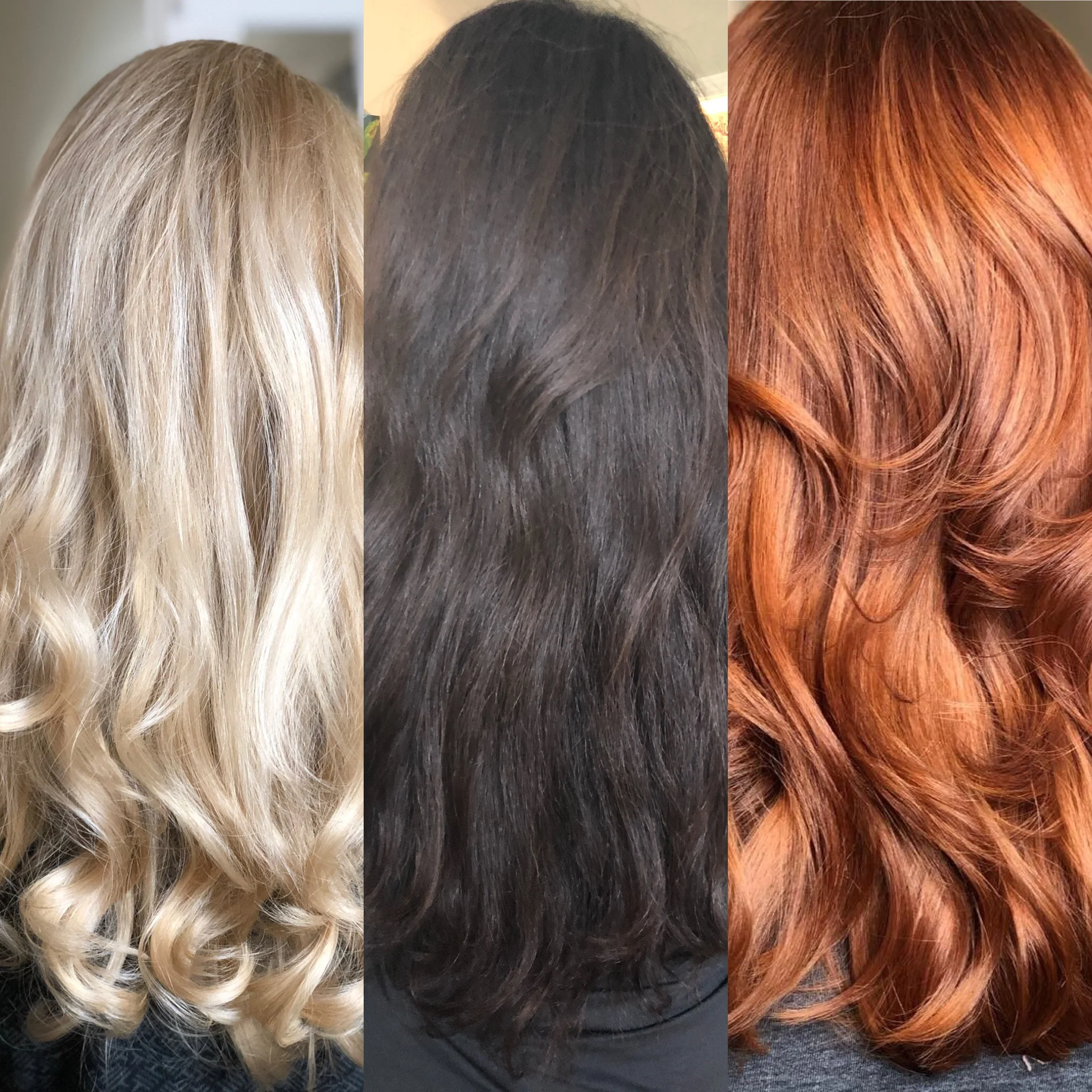 Dana Meredith Hair Salon