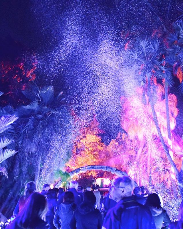 If you need a midday pick me up, head on over to www.modandbean.com for a hearty dose of night lights and magic ✨ #fairchildtropicalgarden #nightgardenmiami #miami #modmonday