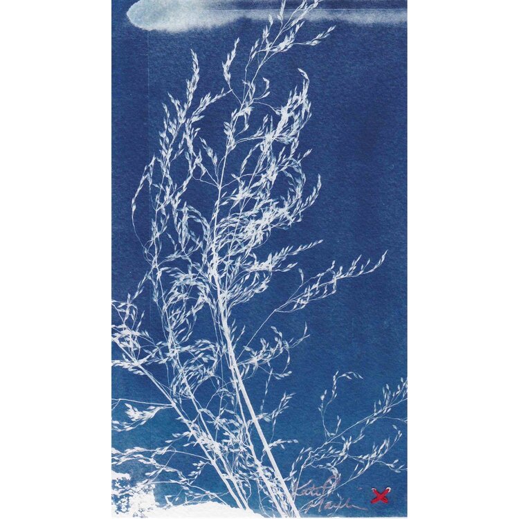 Cyanotype - 'The Modern' #4 — kate maulik art