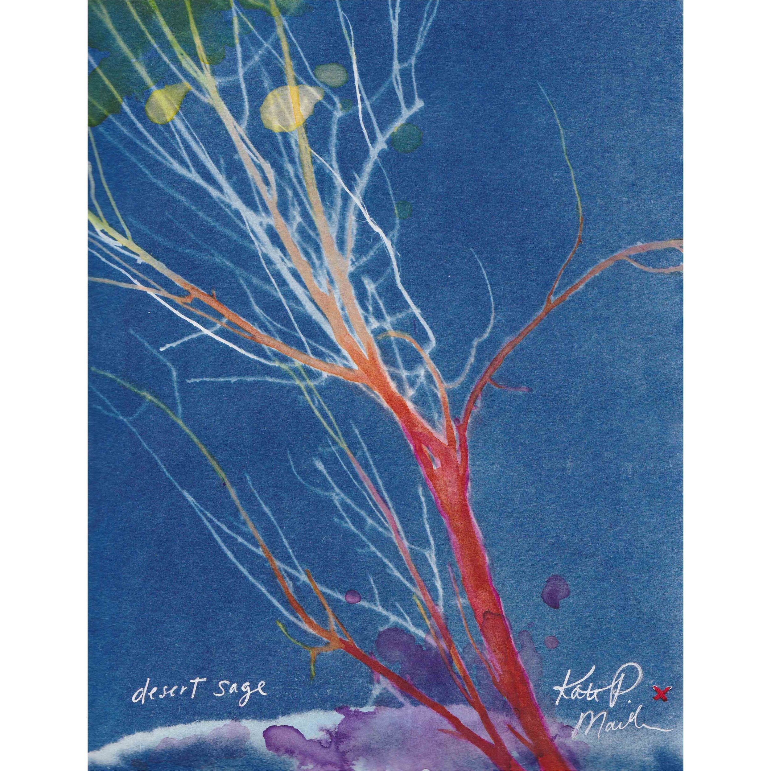 Cyanotype/mix media - Rainbow Desert Sage