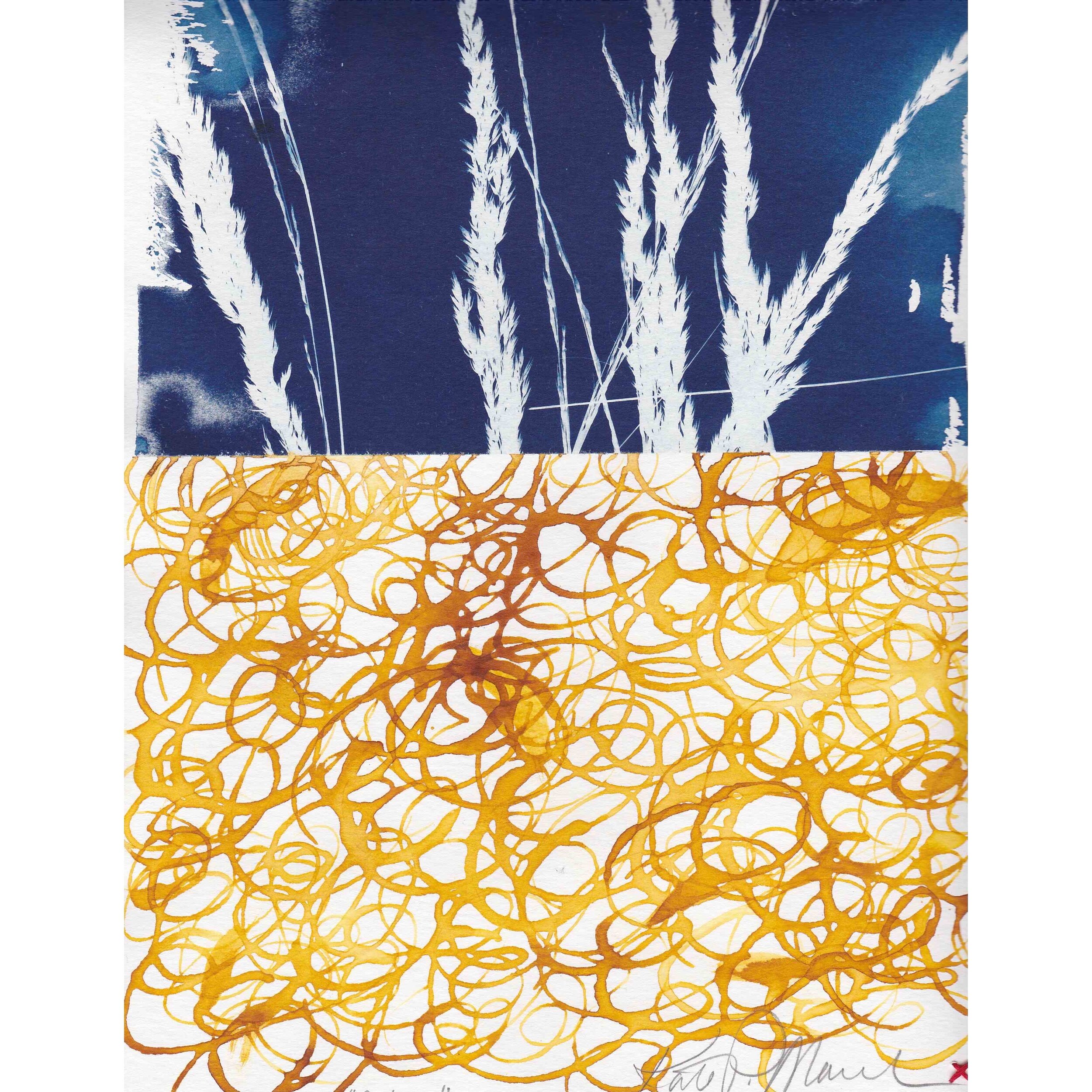 Cyanotype/mixed media - ‘Golden'