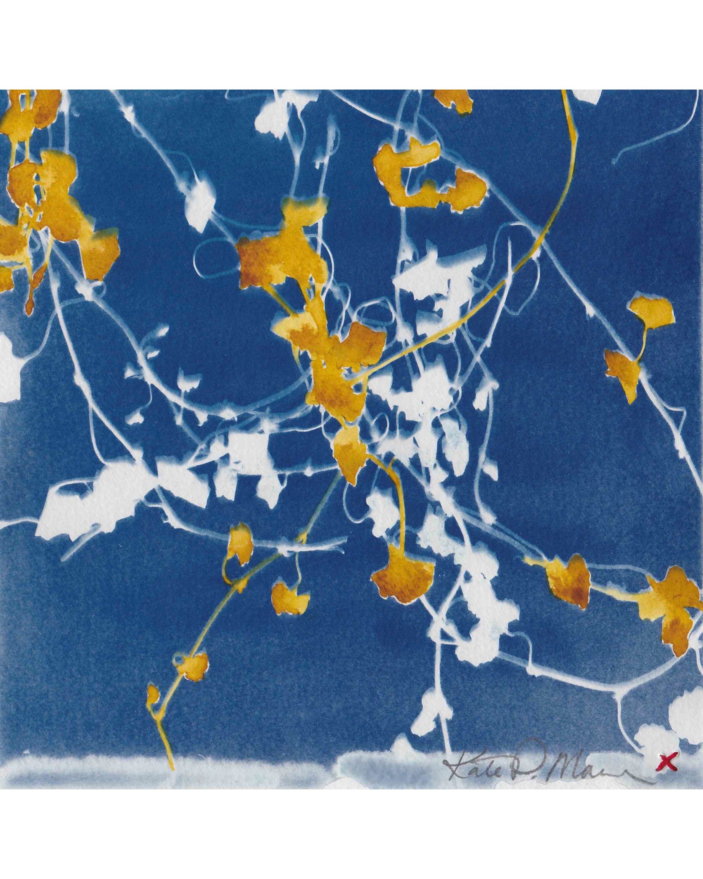 Cyanotype/mixed media - Gold Vines