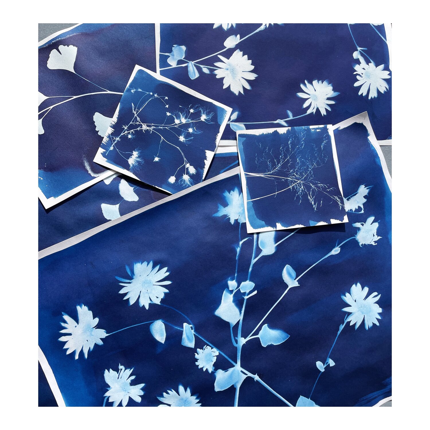 Creating multi-coloured cyanotype prints - Out of the Blue – the world  appears in colour 