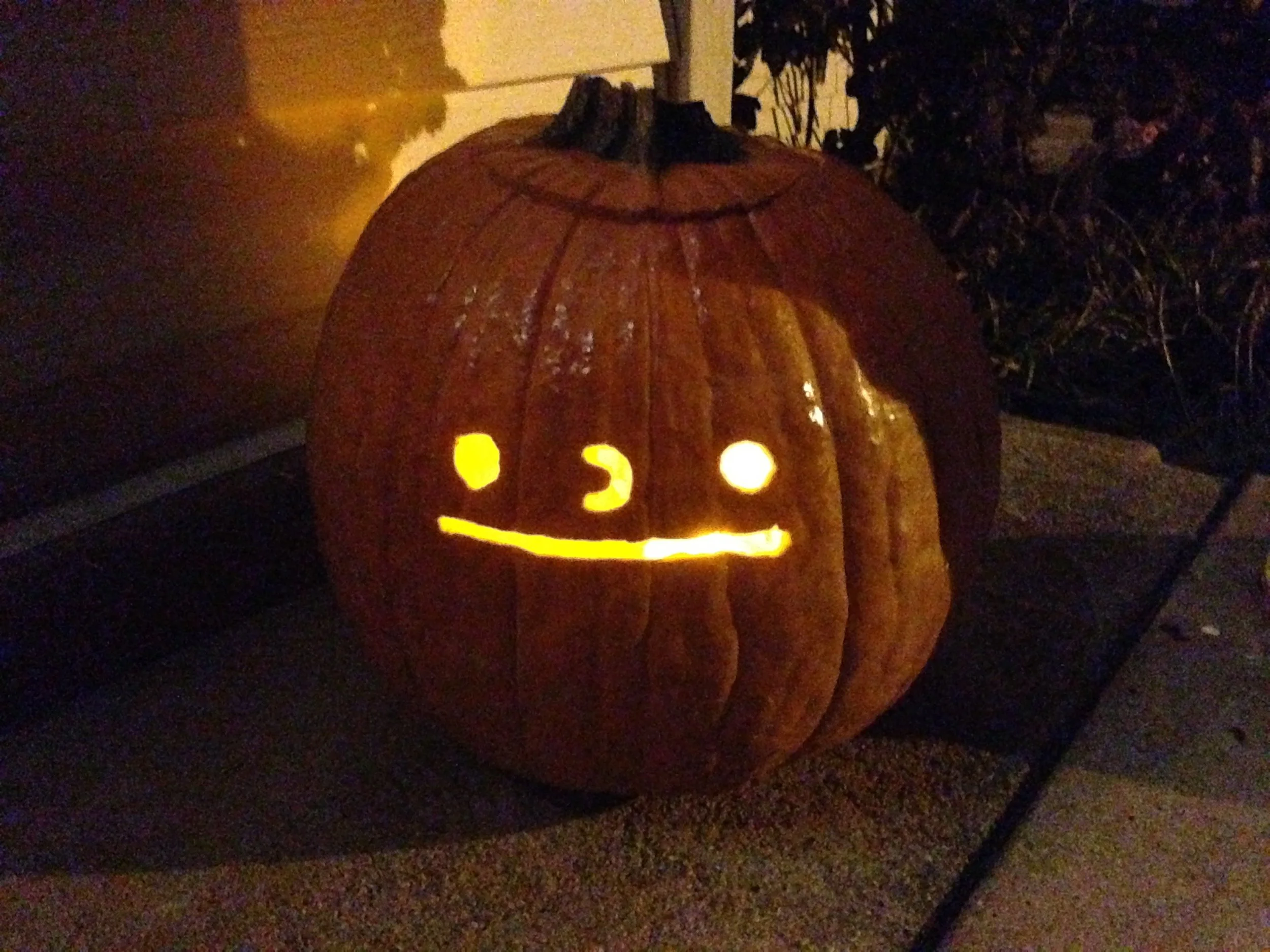 IMG_3453 - Copy - Copy.JPG