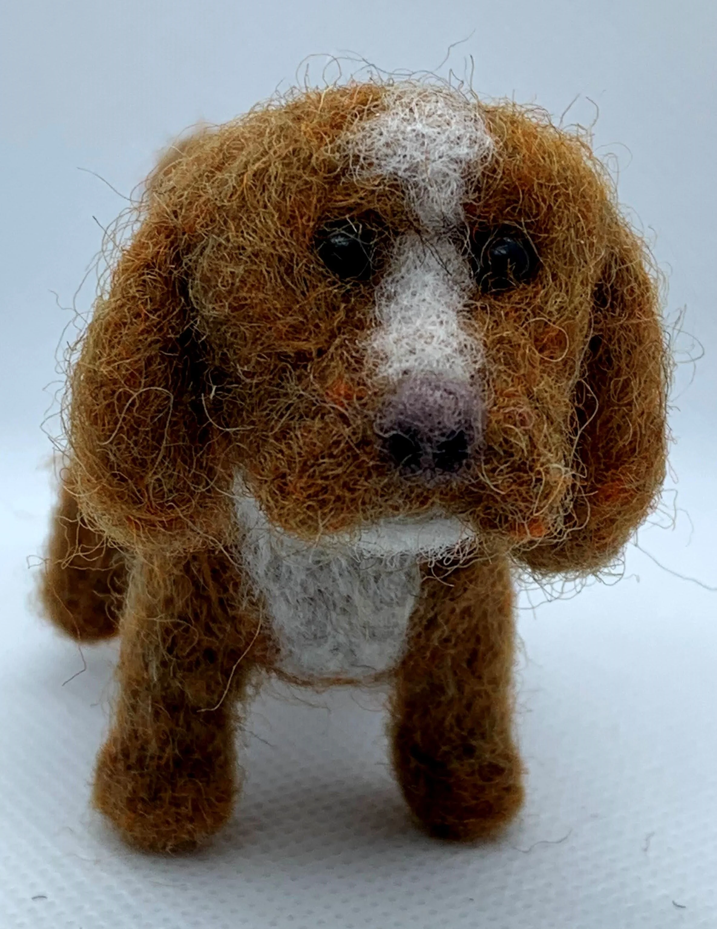coco3.jpg