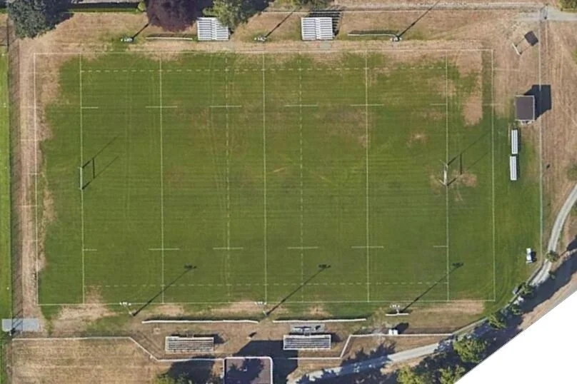 Anecdote In the Lime of Duty Snip Field Only.JPG