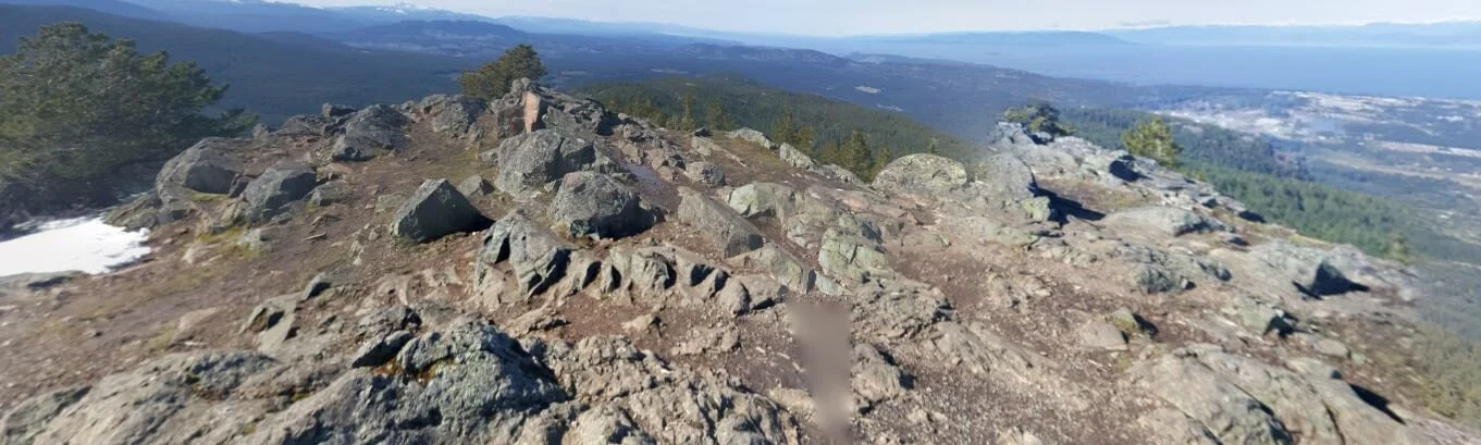 Anecdote Mutiny on Mount Benson Photo.JPG