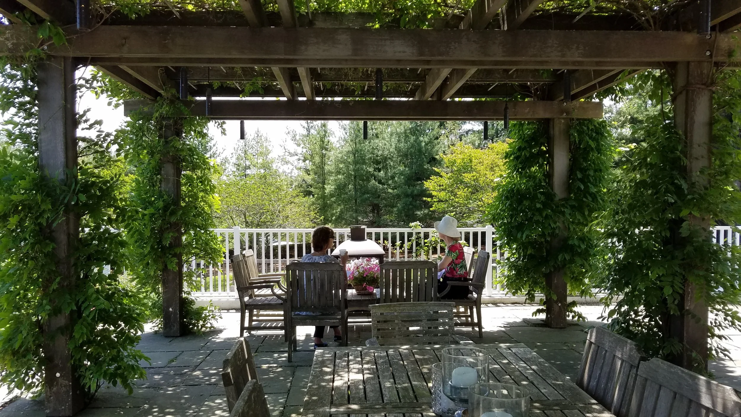 Summertime Shaded wisteria pergola.