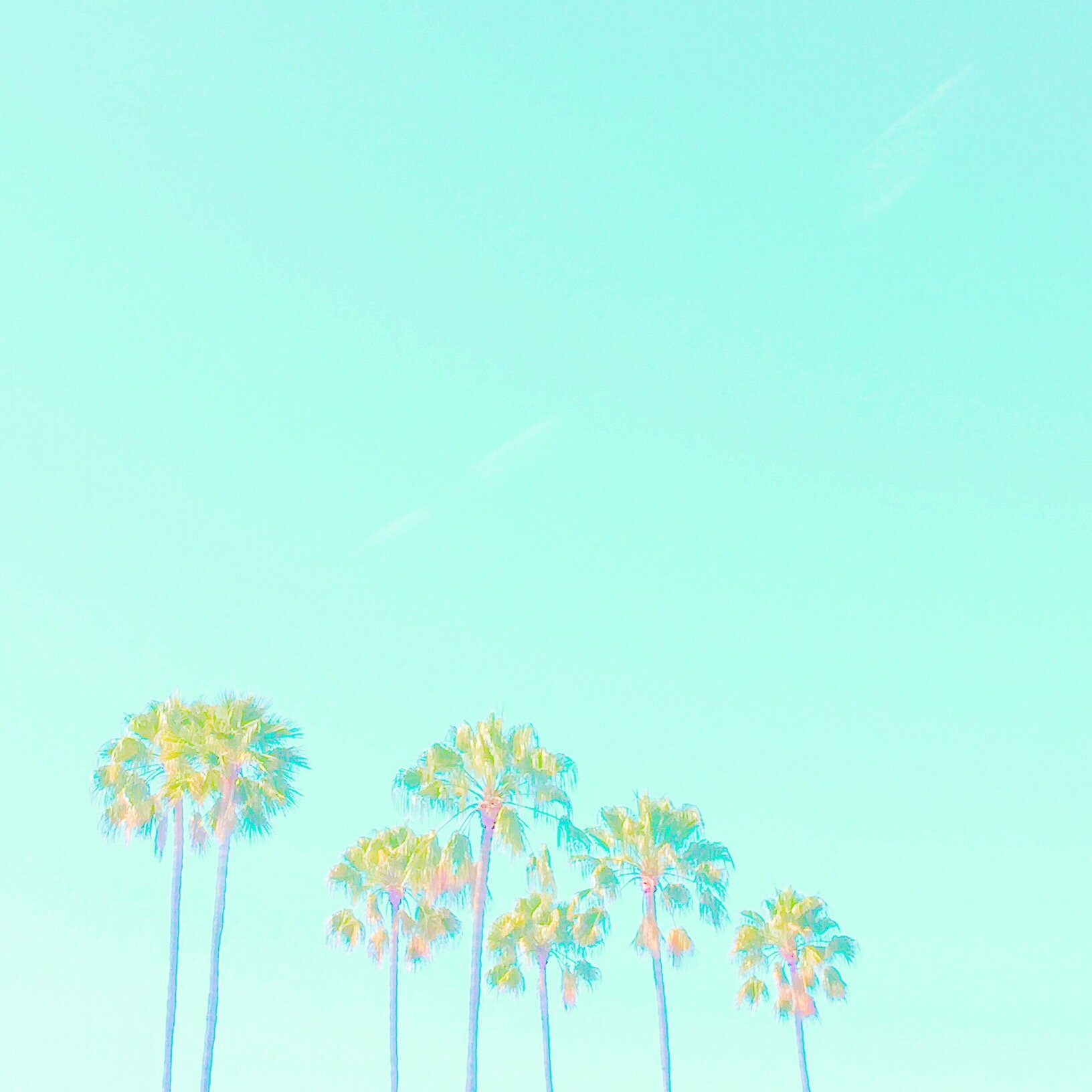 Pastel Palms.jpg