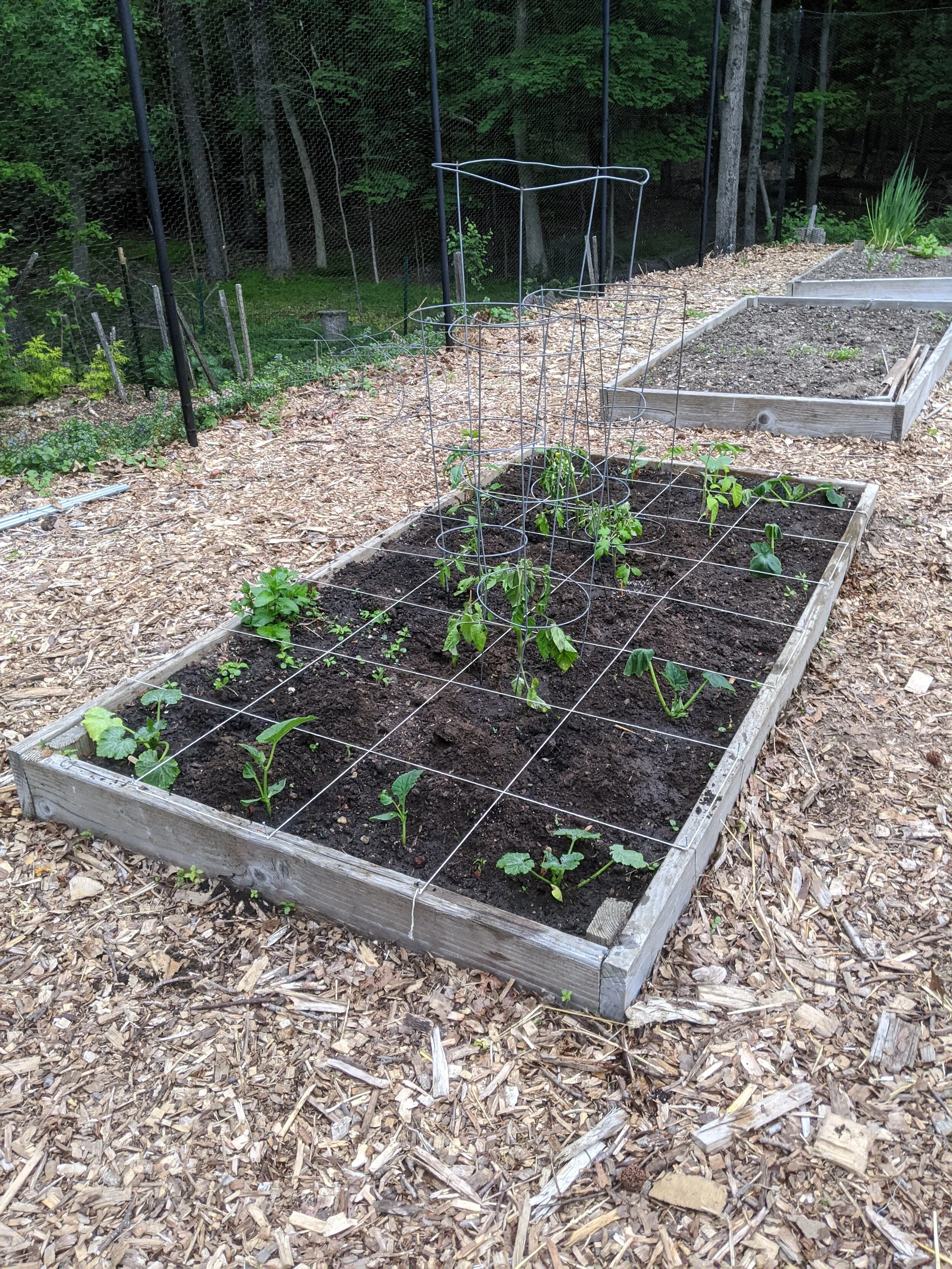 A Beginner�s Garden Square Foot Garden Part One — dvd