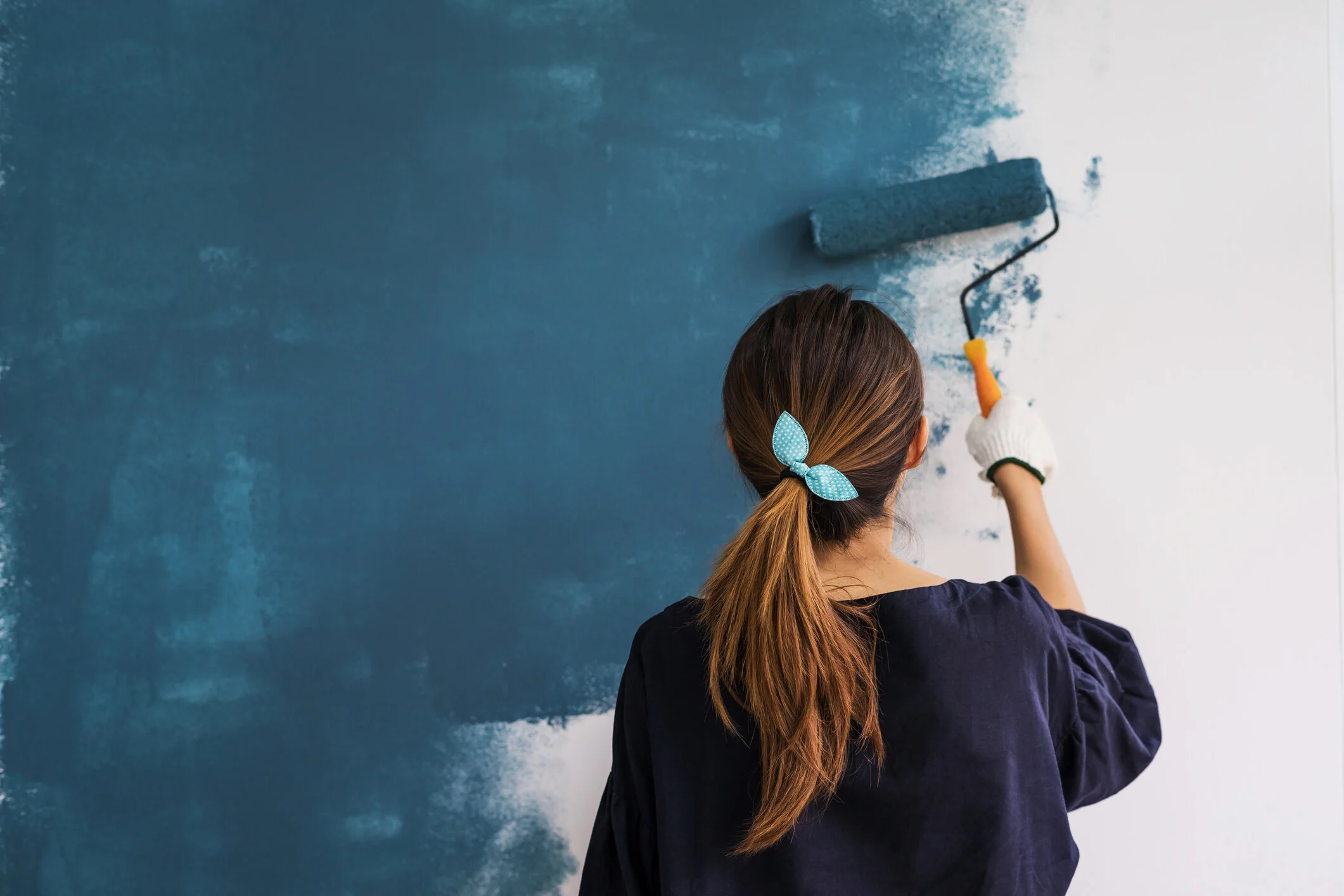 what is the best paint to paint your kitchen cabinets with how to choose the best paint colors for your home dvd what is the best paint to paint your kitchen cabinets with how to choose the best paint colors for your home dvd