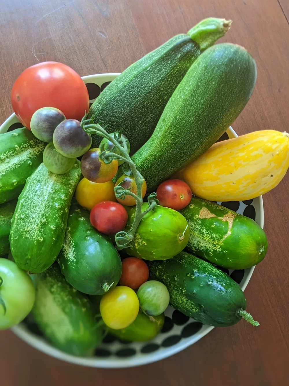 This week's Garden Bounty

12 🥒, 2 zuchini ,  lots of cherry 🍅, and 2 yellow squash 

Week 8: from my square foot garden 🏡