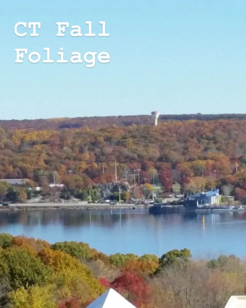 Hints of Fall are showing in CT. Fall is my favorite season with the sunshine and new colors in the landscape. Sunday was a perfect day for a road trip to Pomfret, CT to the Vanilla Bean for a family Brunch.