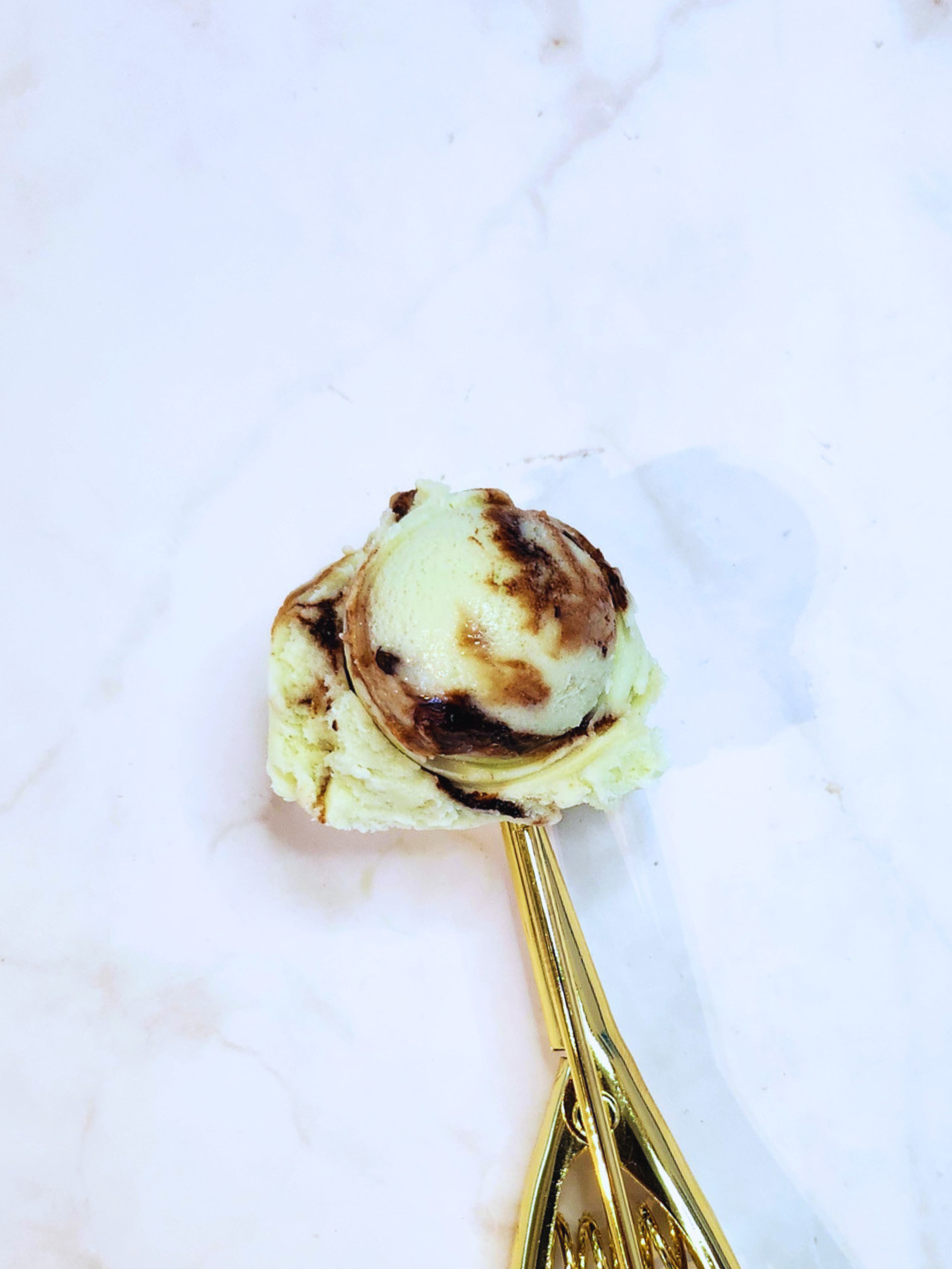 Mint Chocolate Chip