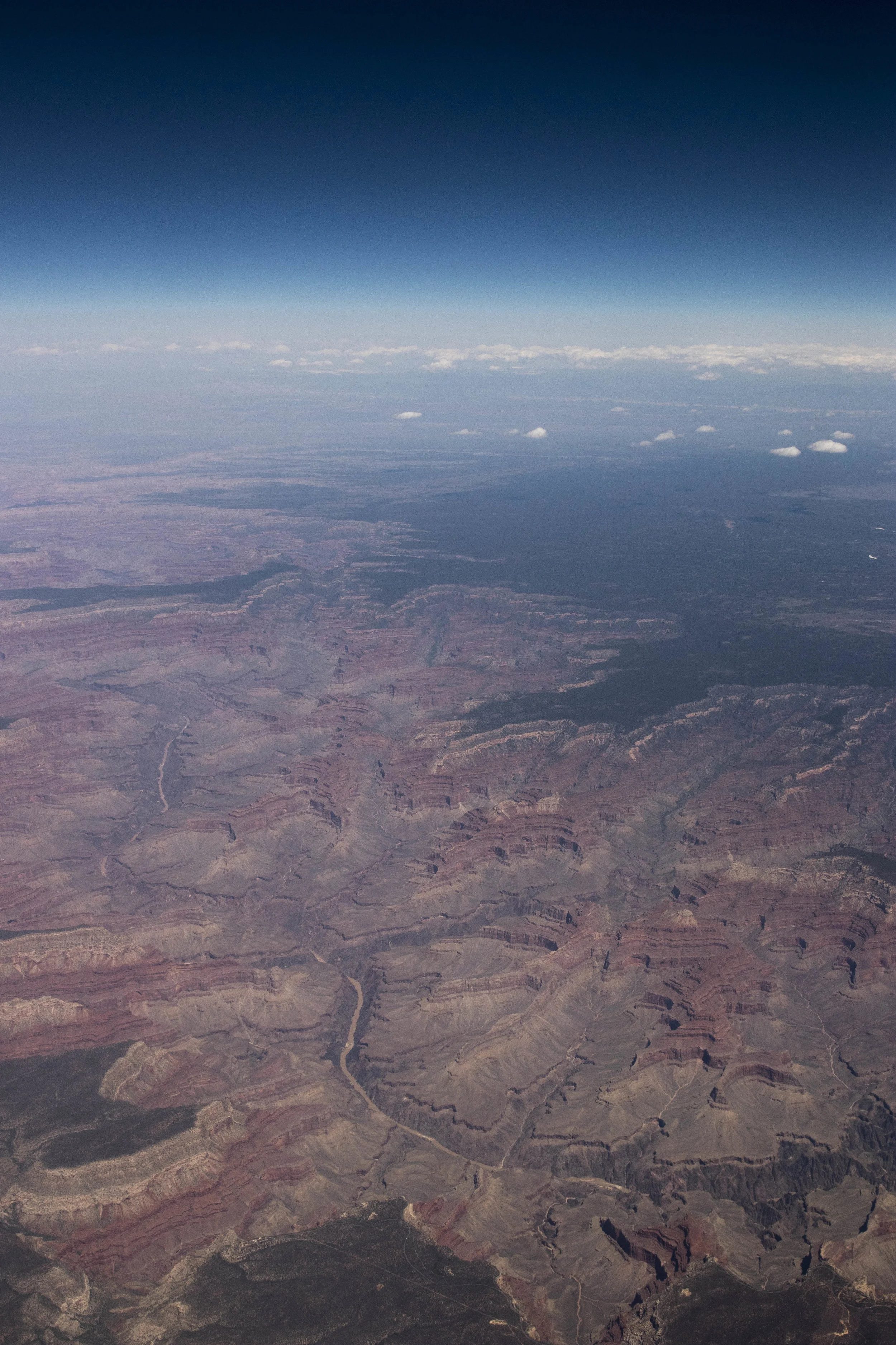 _MG_4316.jpg