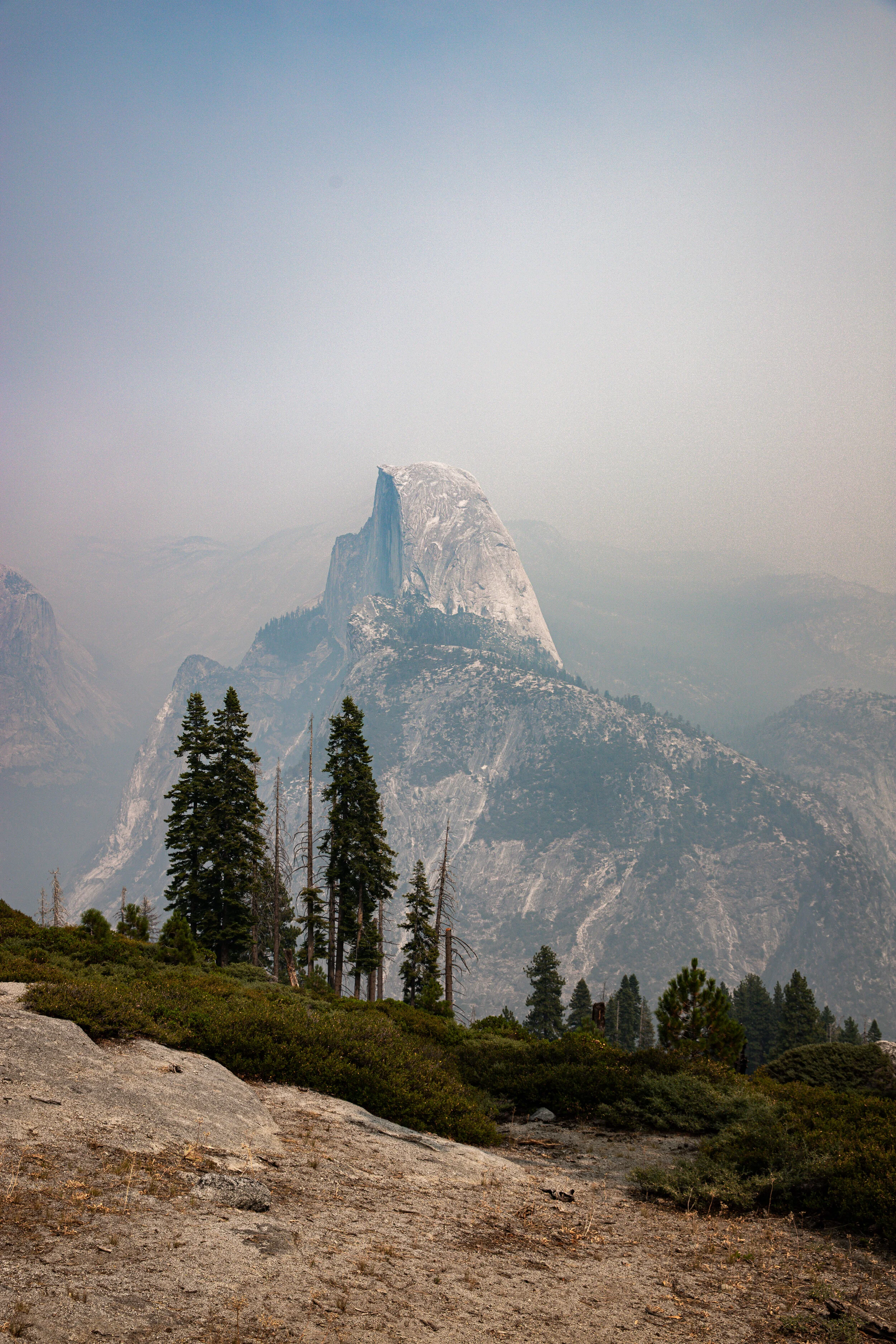 _MG_4539.JPG