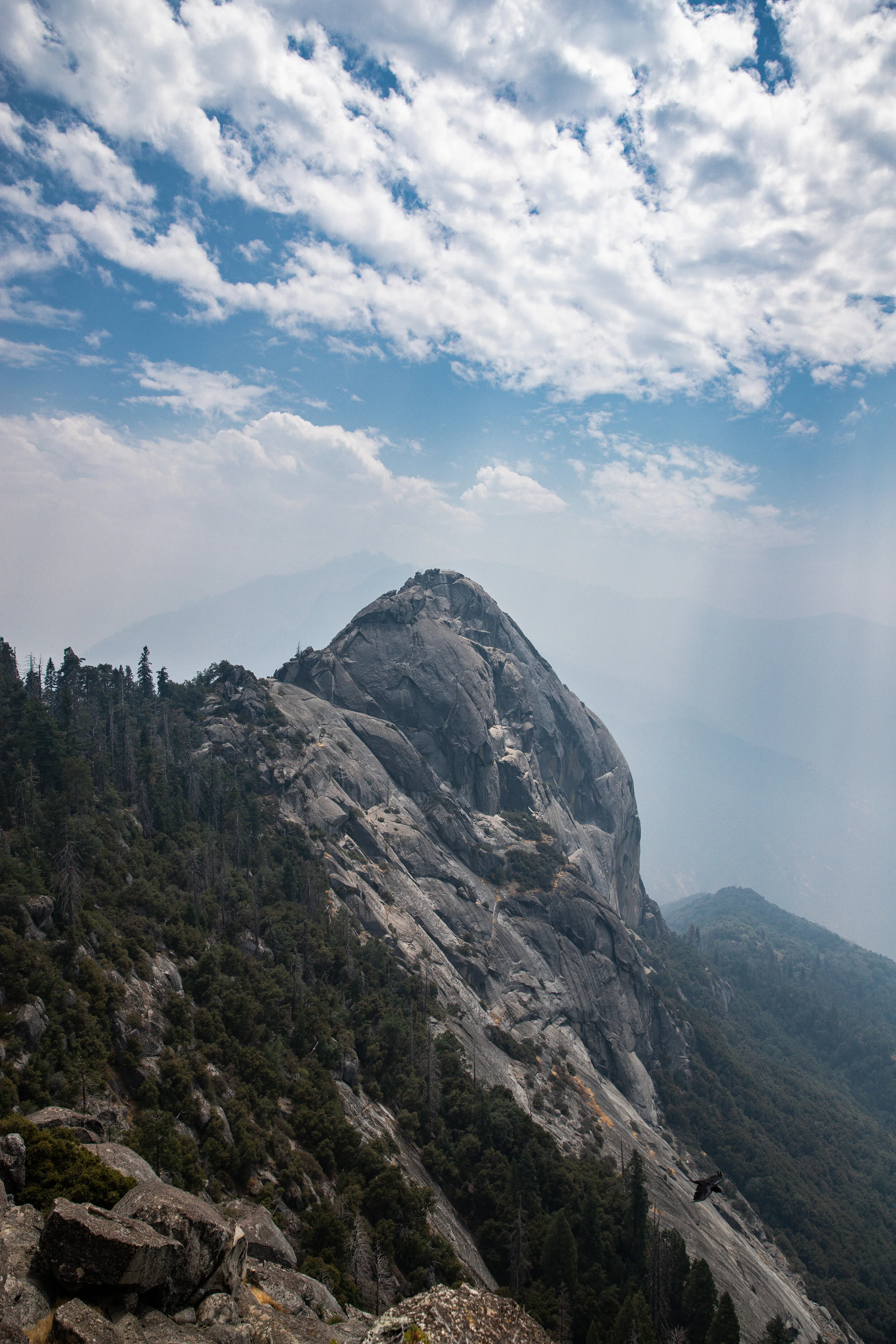 _MG_6797.JPG
