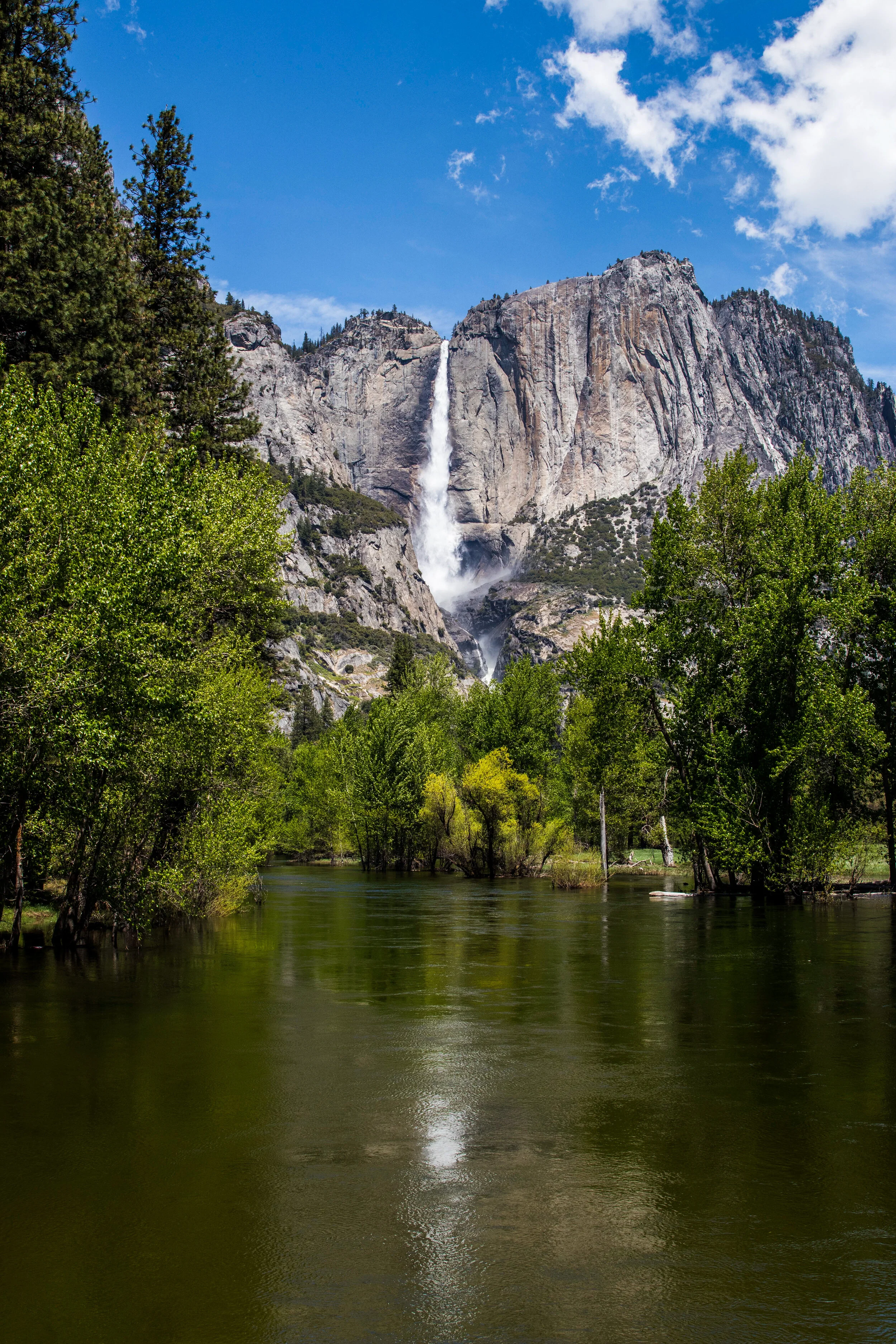 Yosemite Falls 