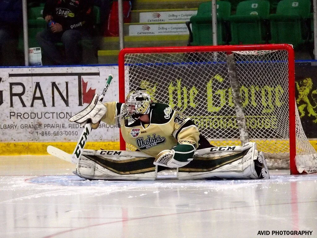 Applying Biomechanics in Performance