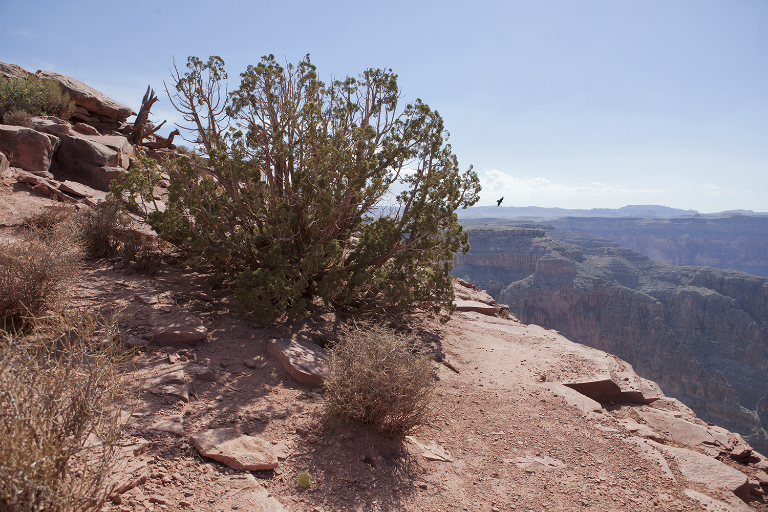 grandcanyon_diary_17_resize.jpg